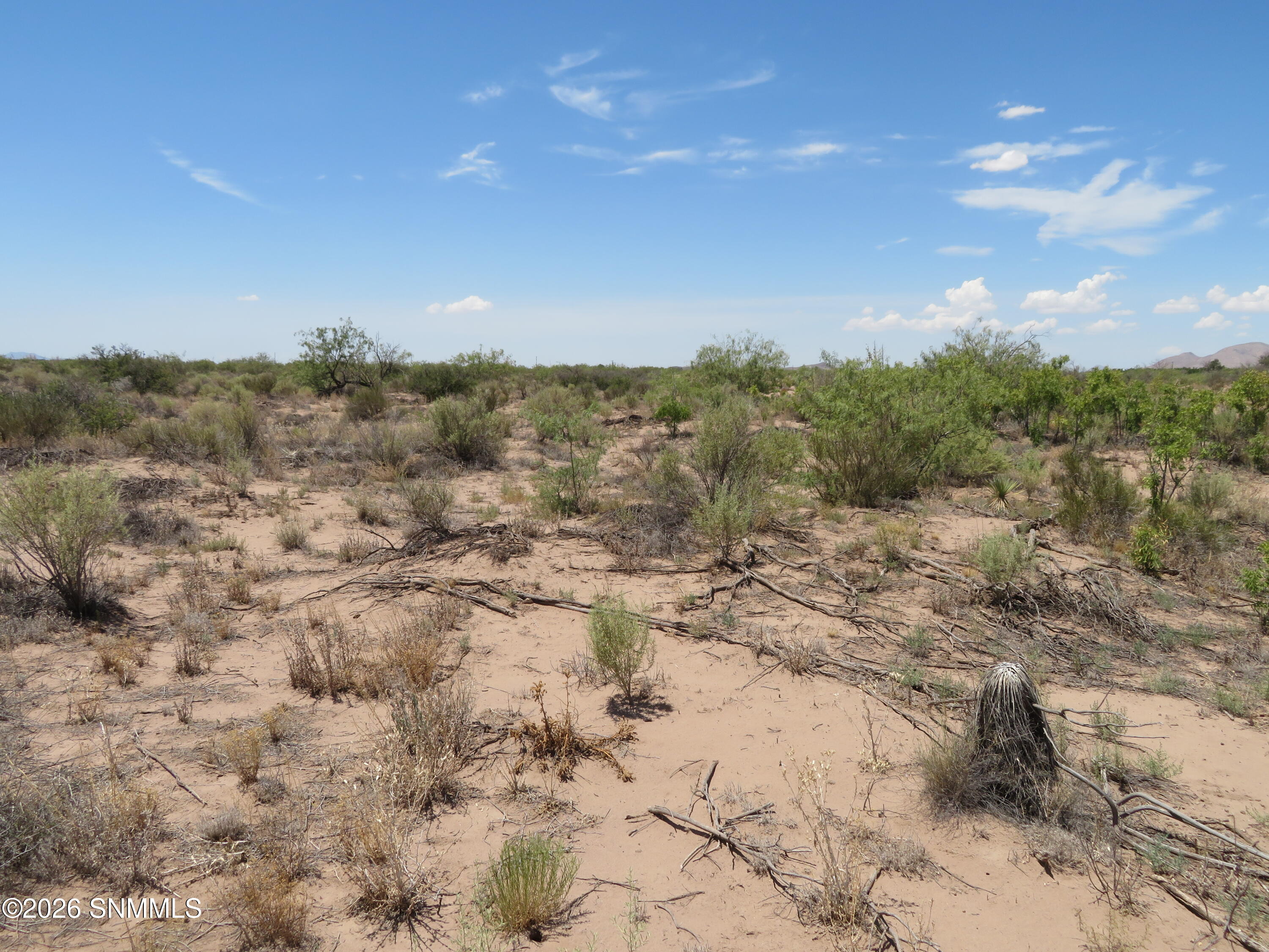 Tbd Sw Durango Road Property Photo 6