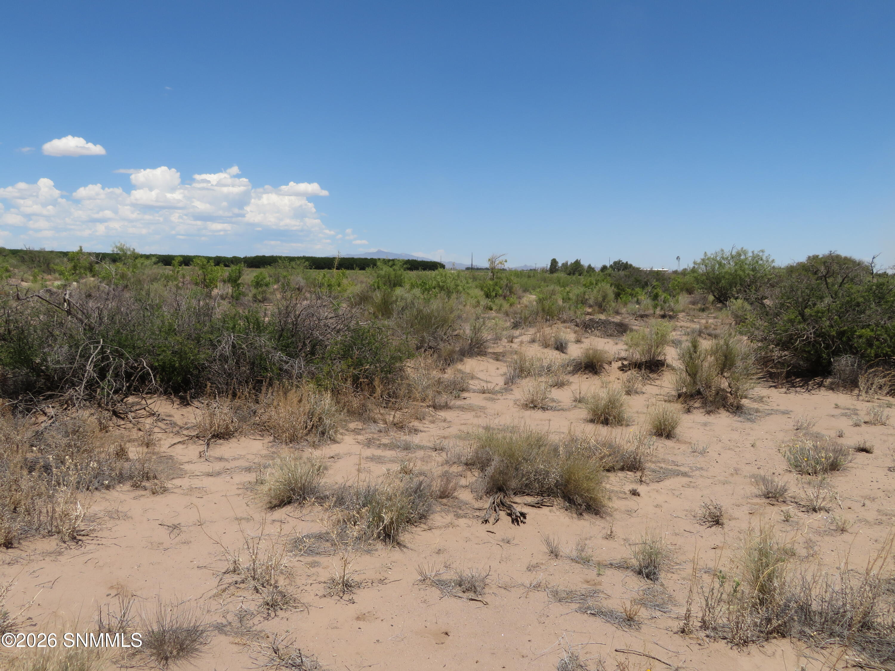 Tbd Sw Durango Road Property Photo 8