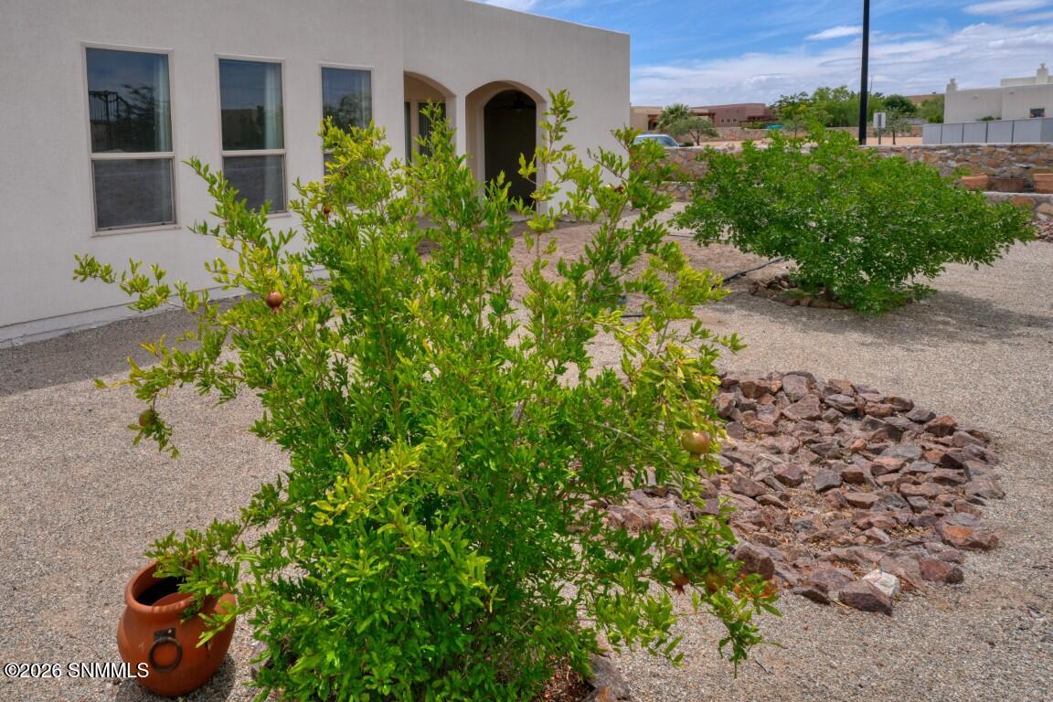 4309 Calle Sonesta Arc Property Photo 7