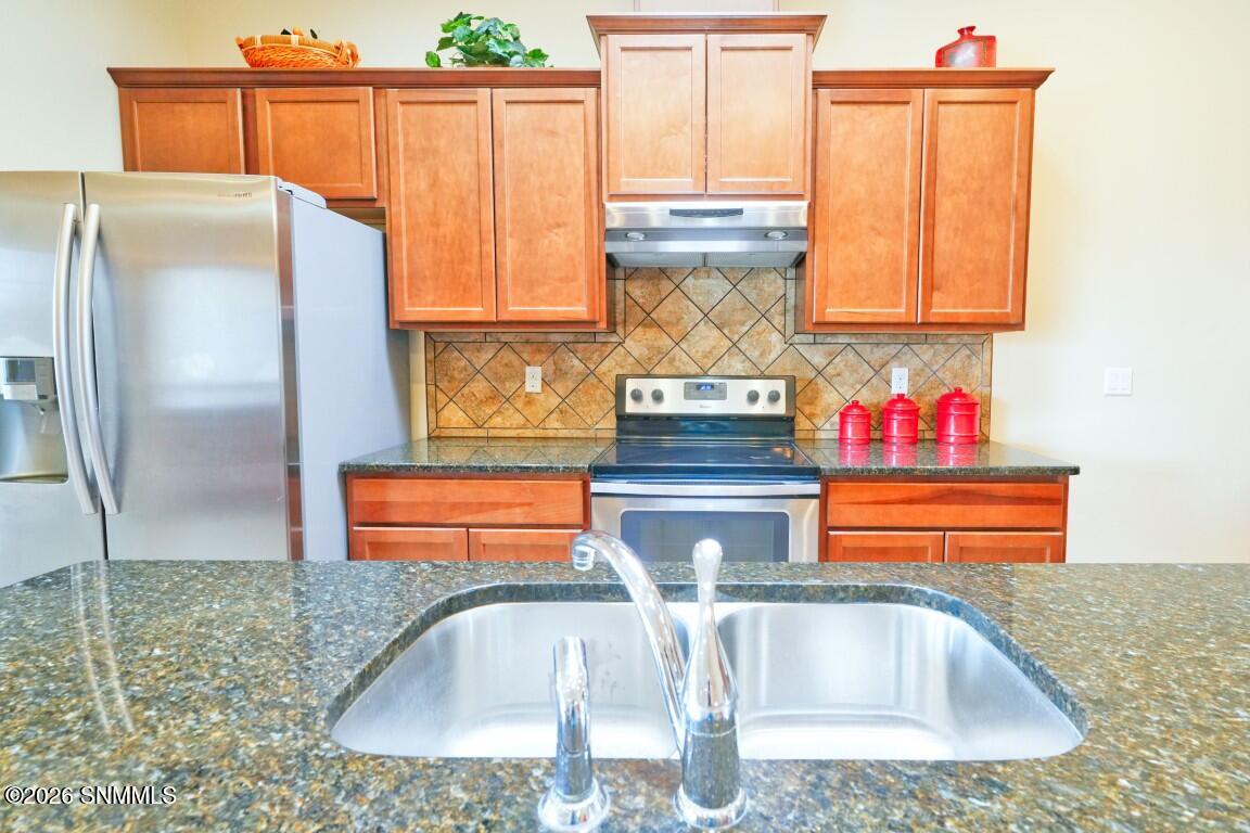 4309 Calle Sonesta Arc Property Photo 27