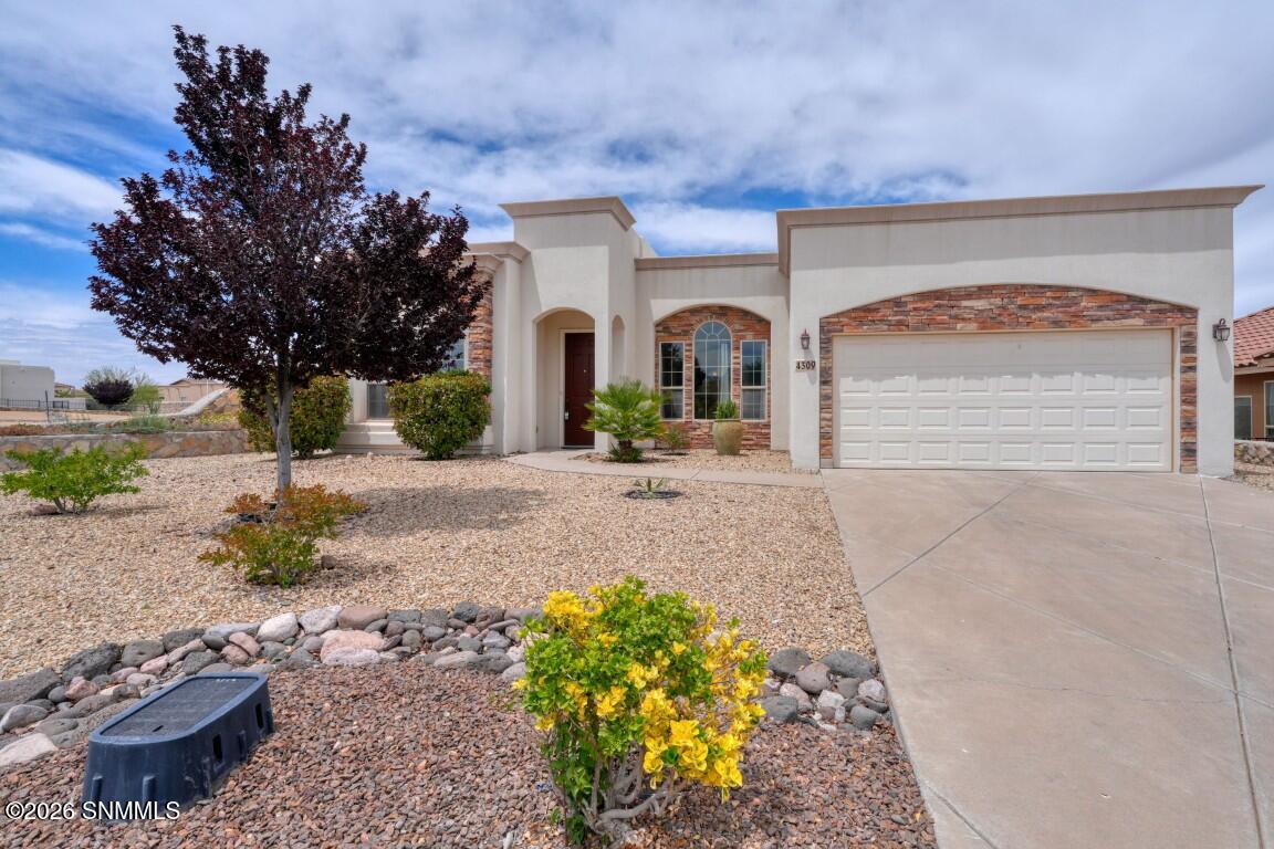 4309 Calle Sonesta Arc Property Photo 55