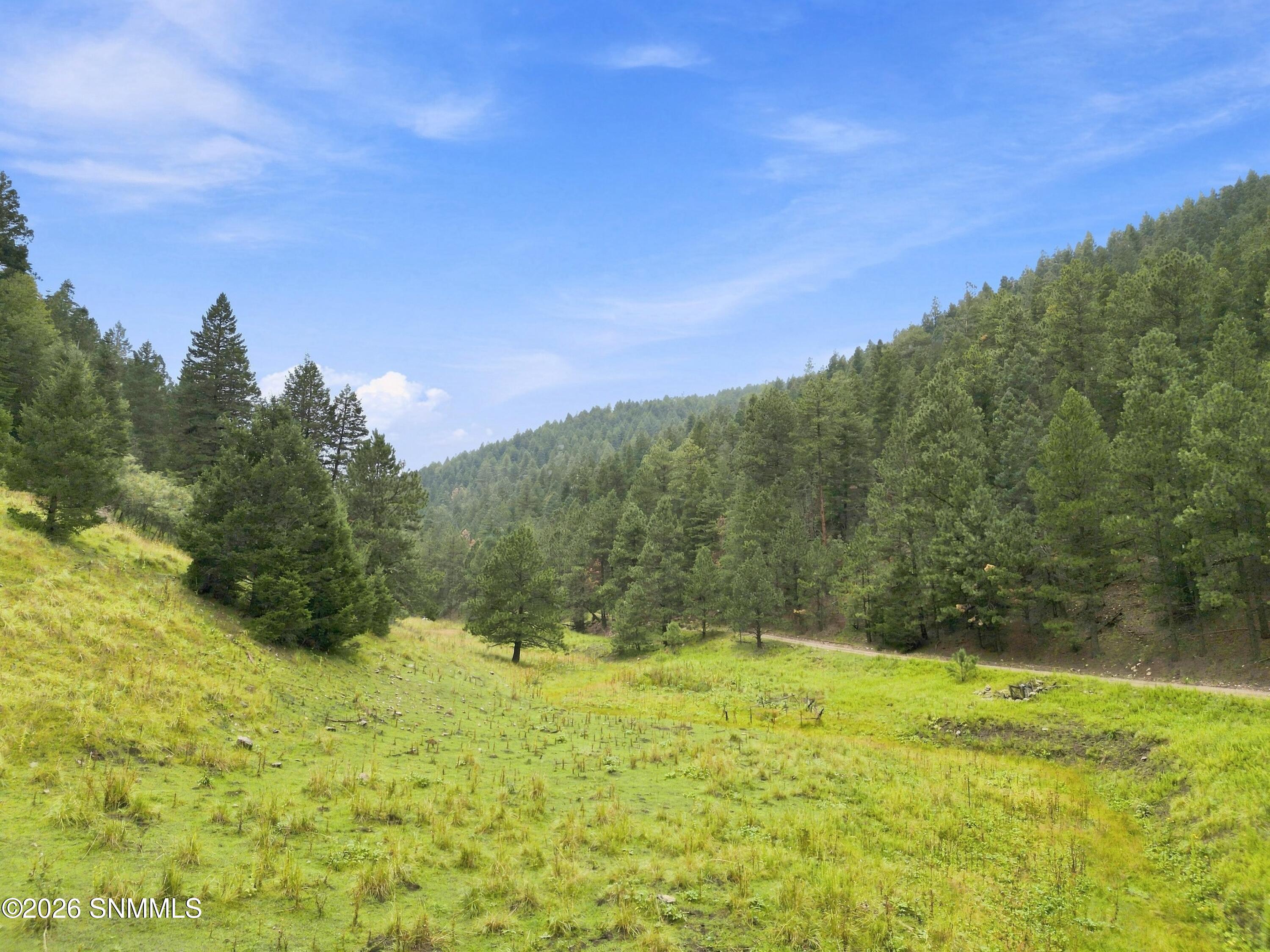 Tbd Wills Canyon Road Property Photo 6