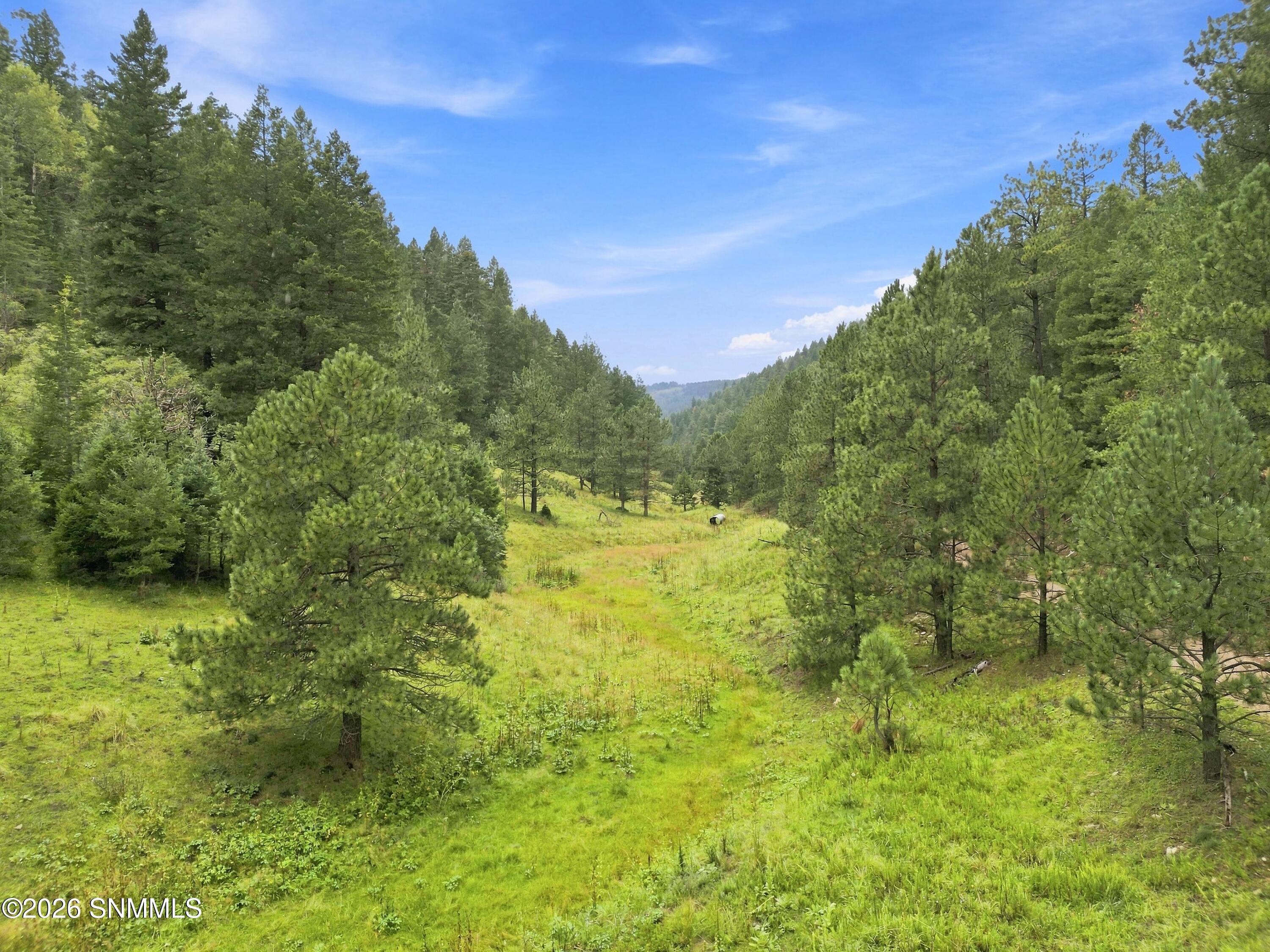 Tbd Wills Canyon Road Property Photo 7