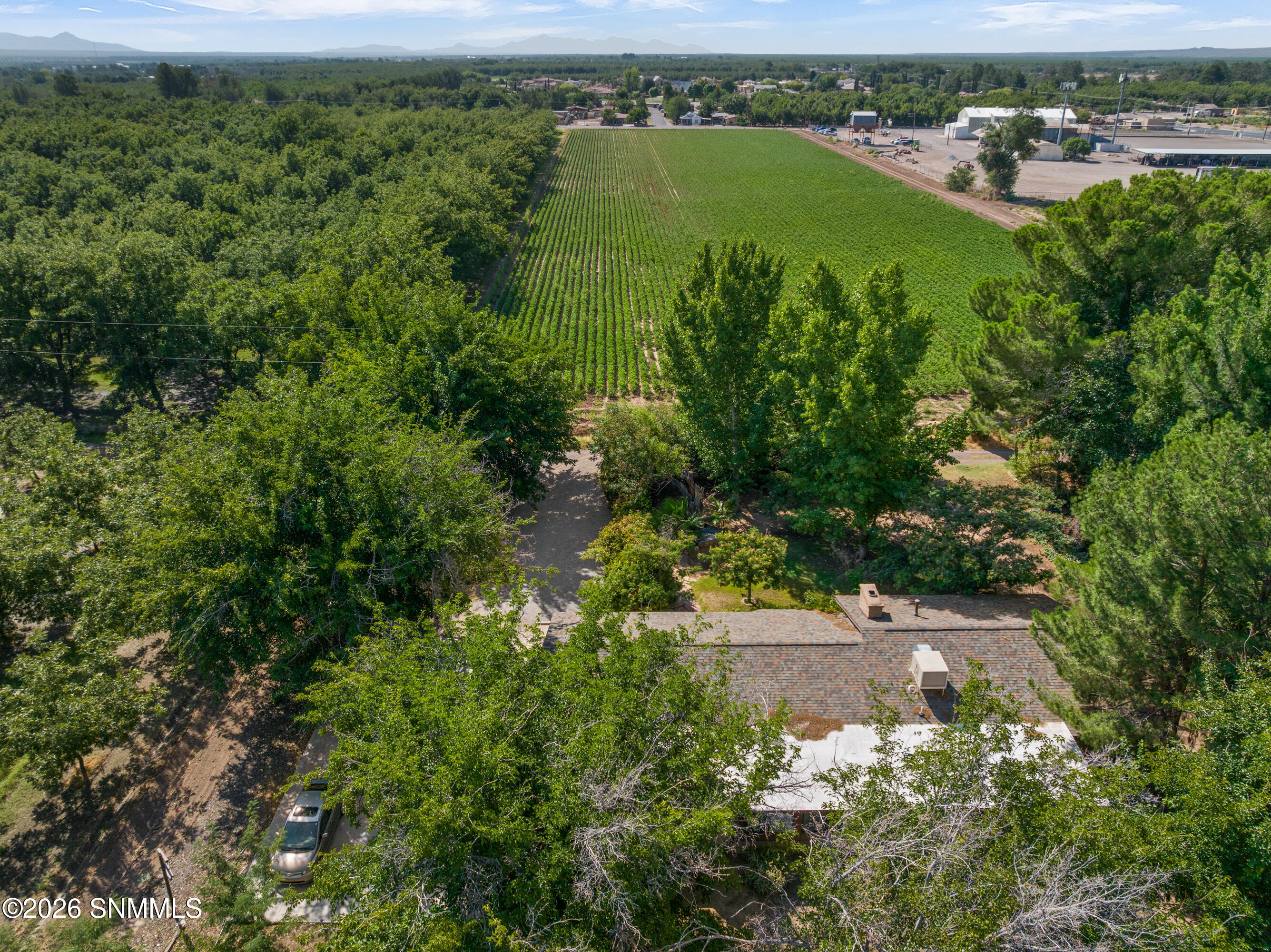 3193 Avenida De Mesilla Property Photo 52