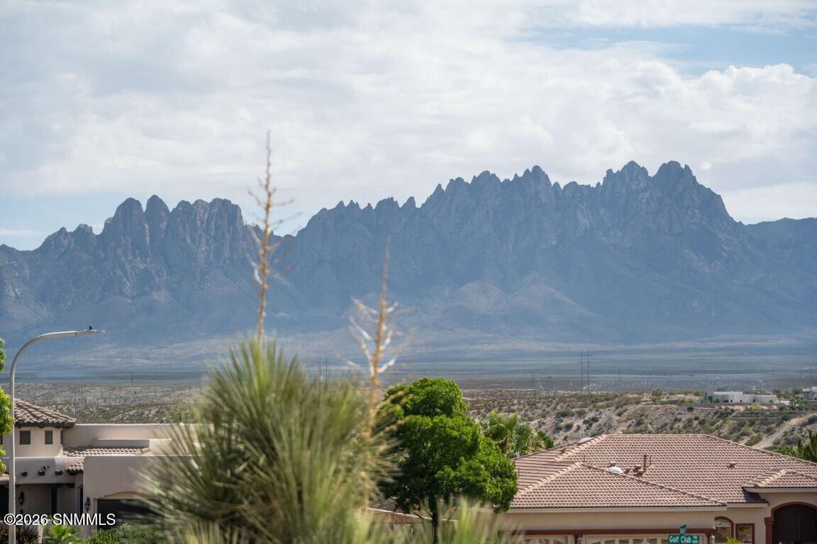 1205 Percha Creek Way Property Photo 57