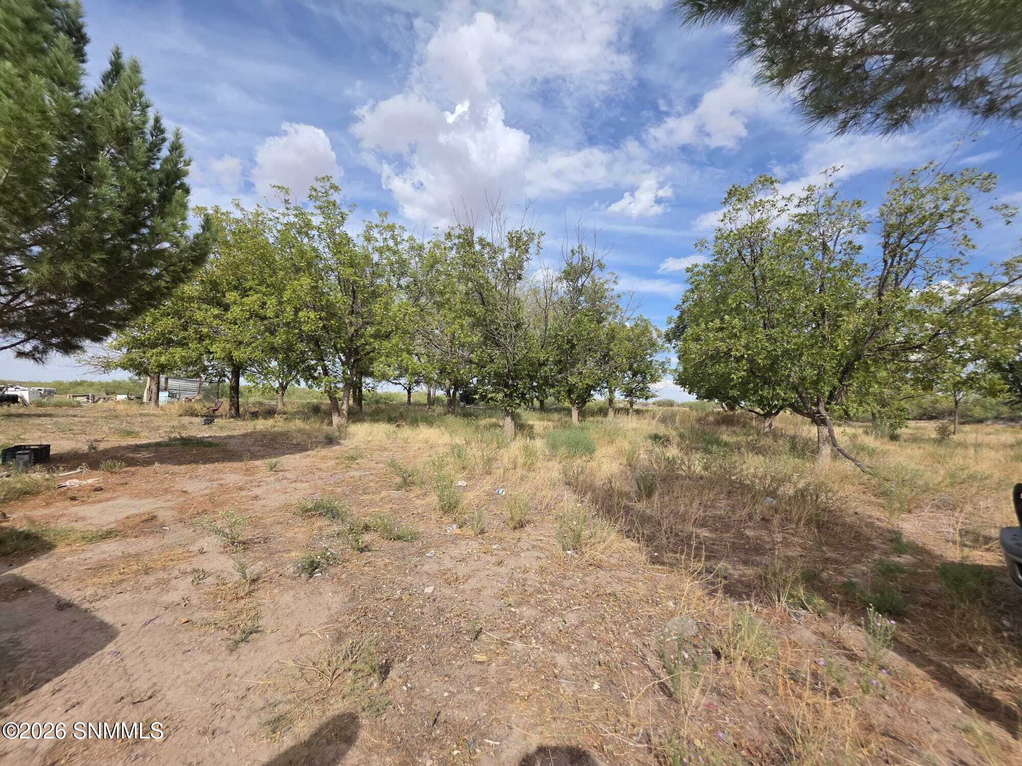 9425 New Mexico 377 Property Photo 8