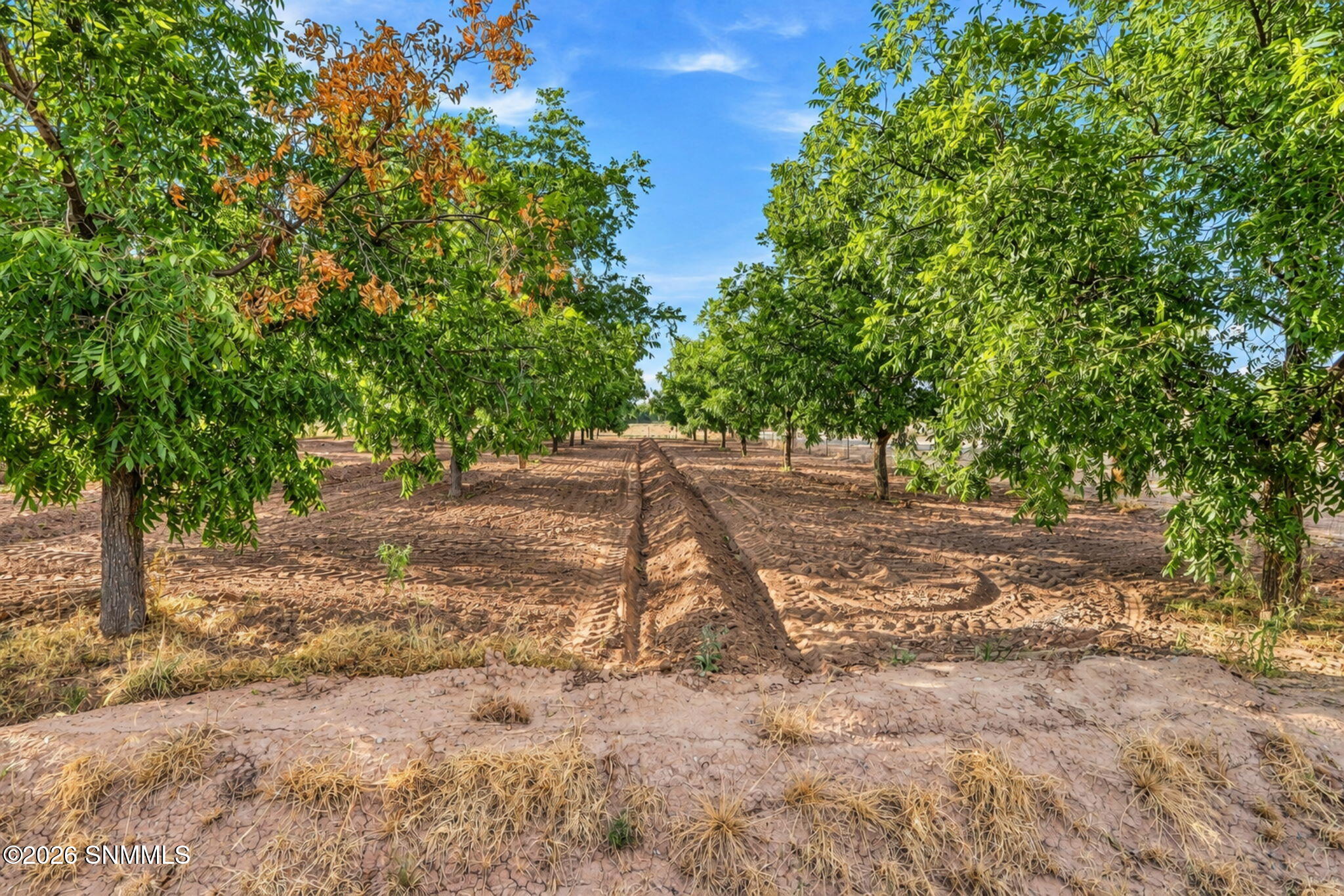 1560 Hwy 292 Property Photo 40