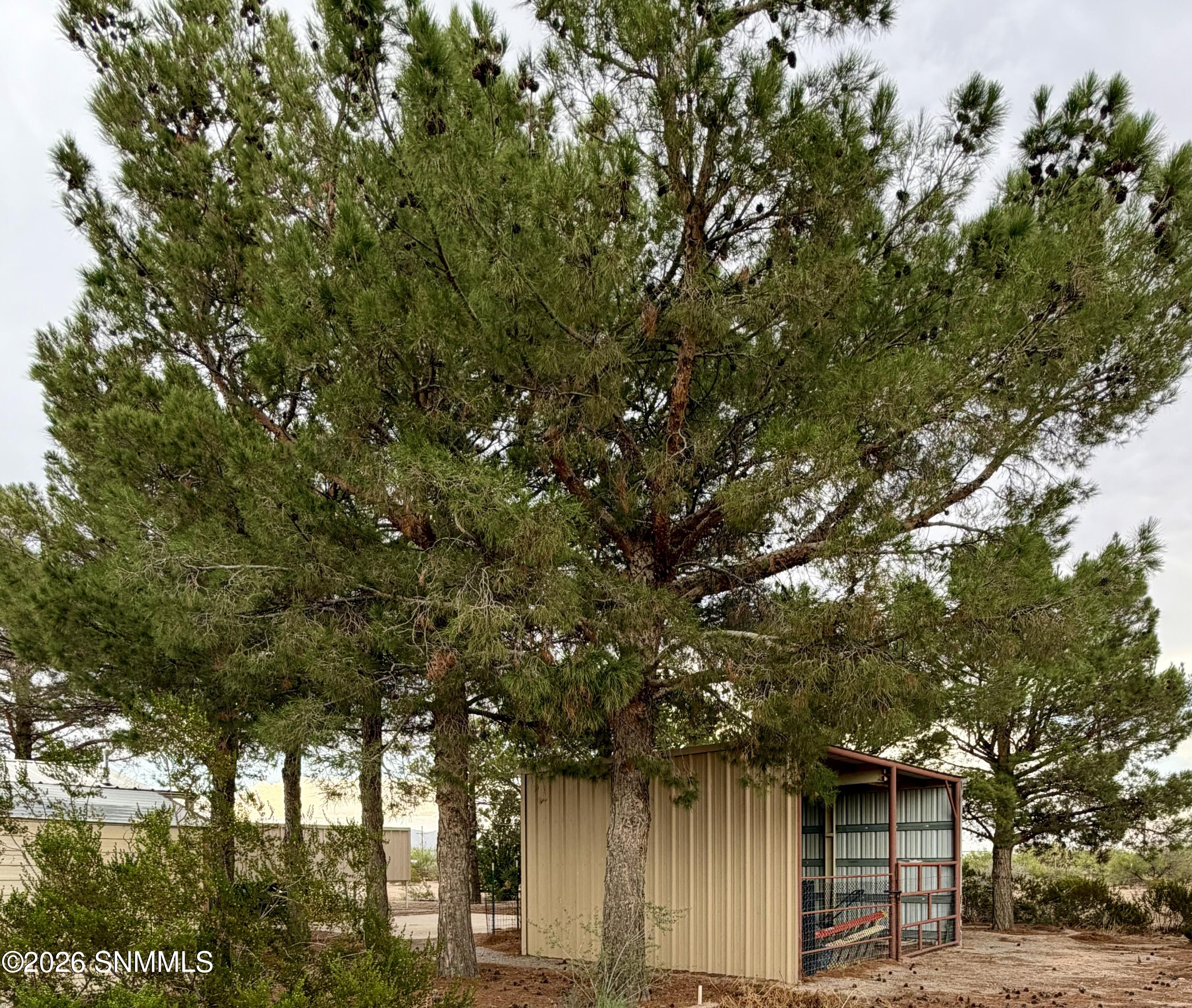 2 Arapaho Road Property Photo 13