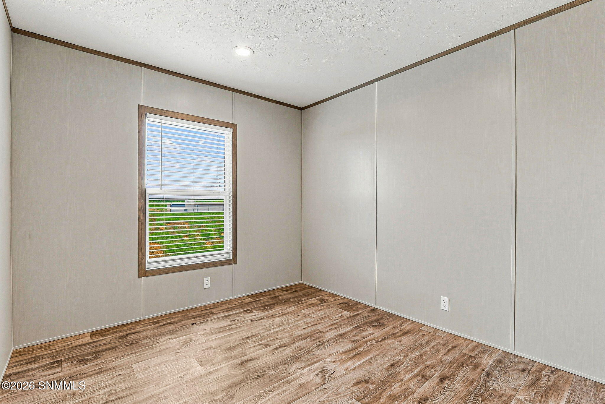 1385 Thar Desert Drive Property Photo 11