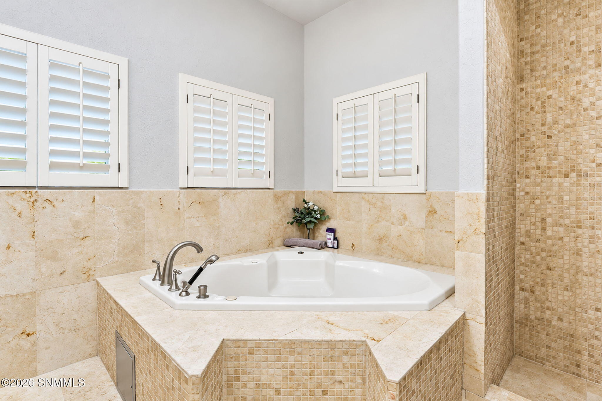 115 Crested Peak Court Property Photo 44