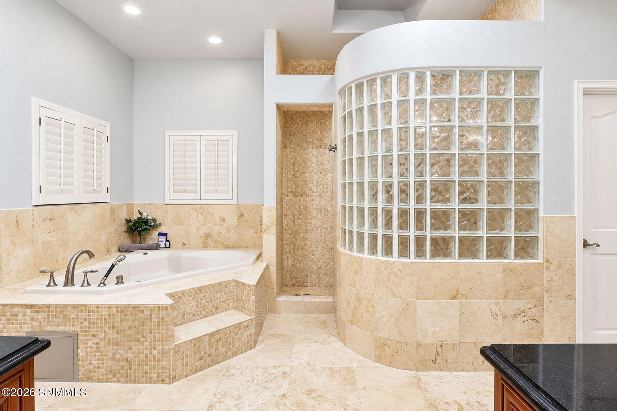 115 Crested Peak Court Property Photo 45