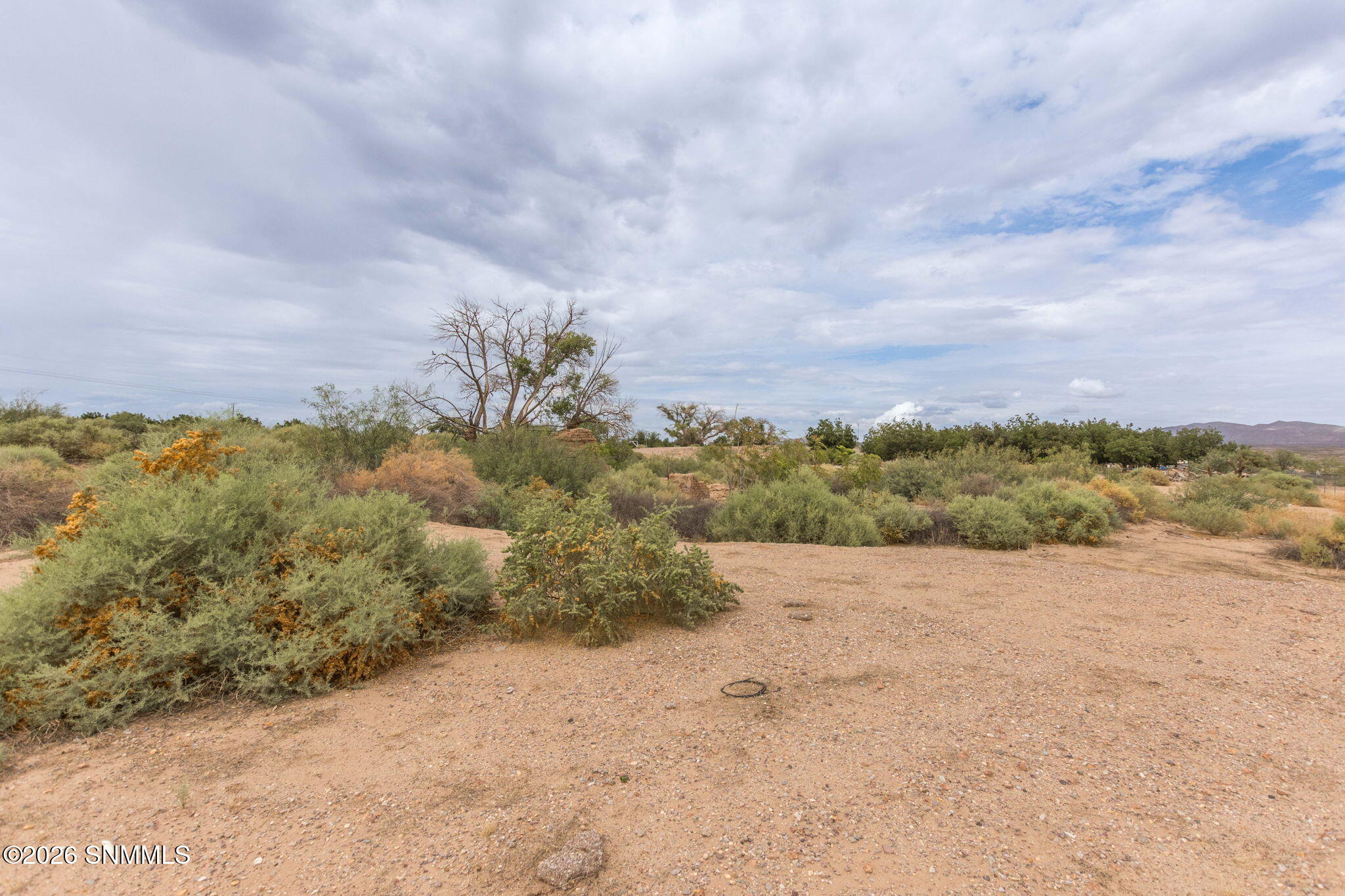 2603005 Property Photo 24