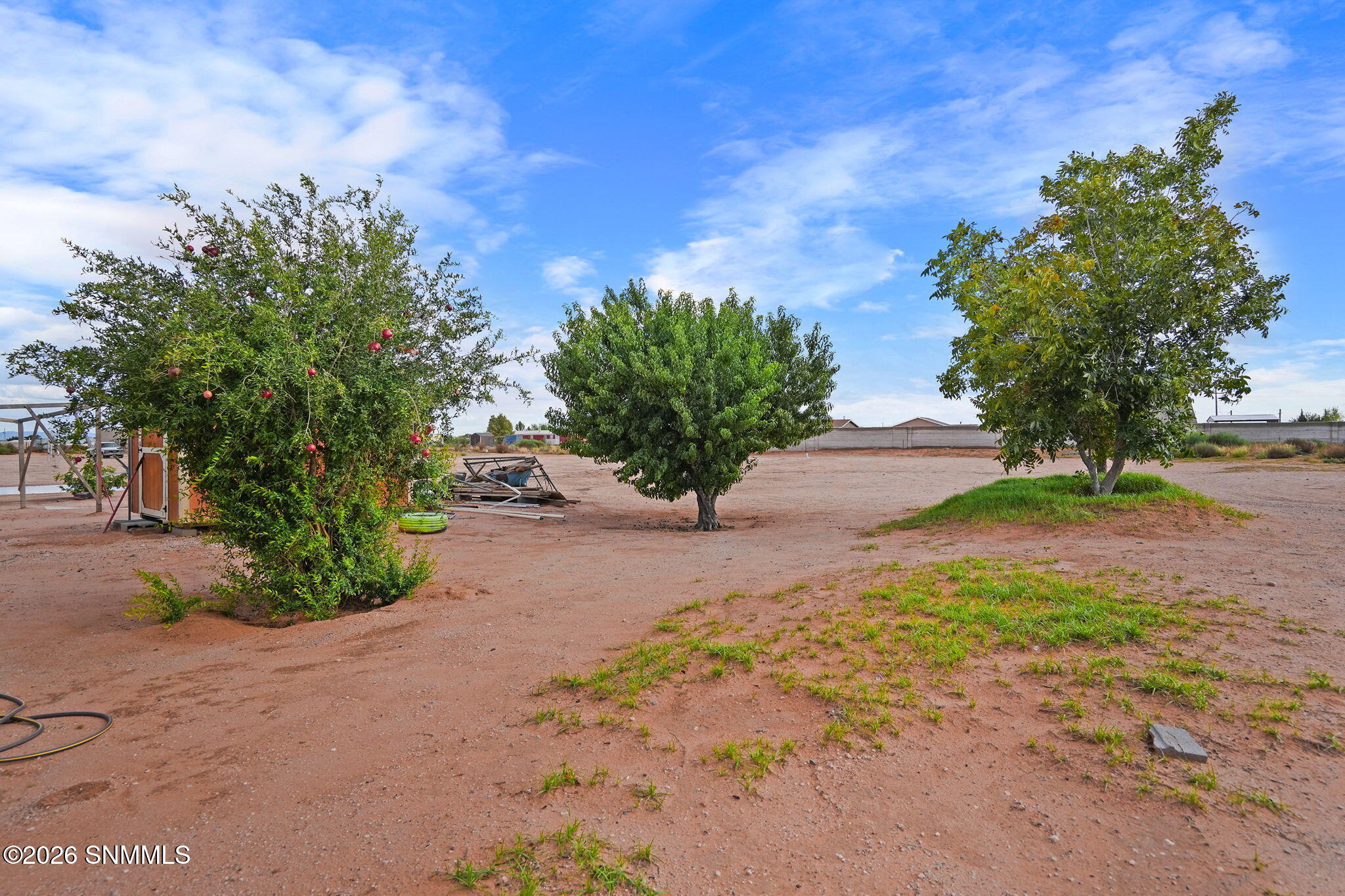 1167 San Carlos Property Photo 30