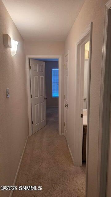 1061 Candeleras Street Property Photo 19