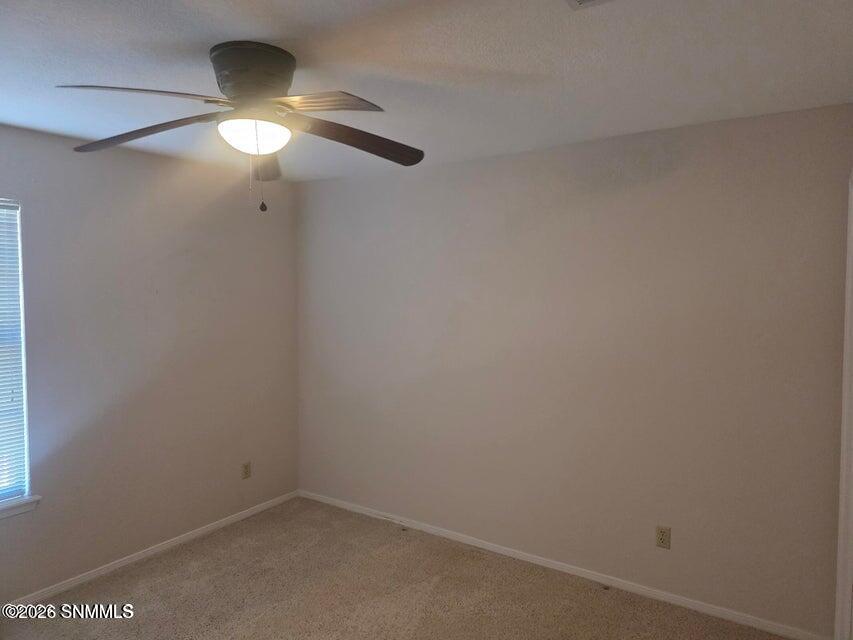 1061 Candeleras Street Property Photo 28