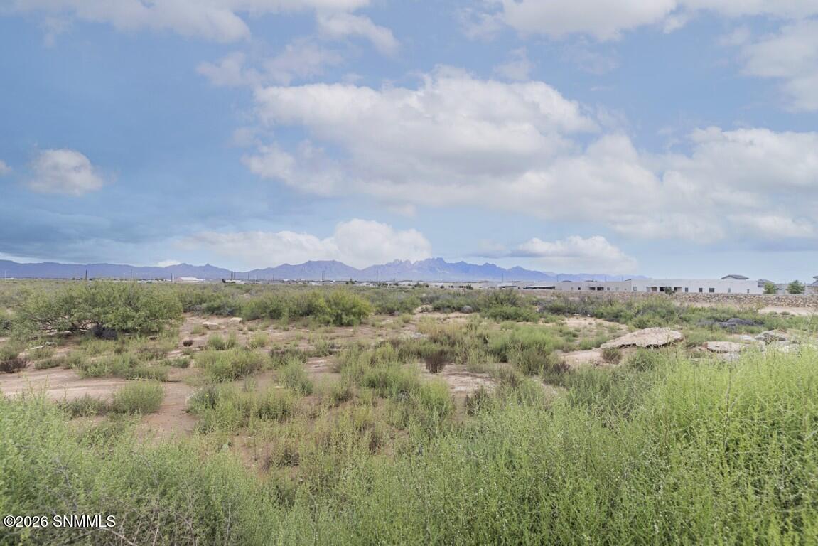 6616 Blackbird Road Property Photo 53