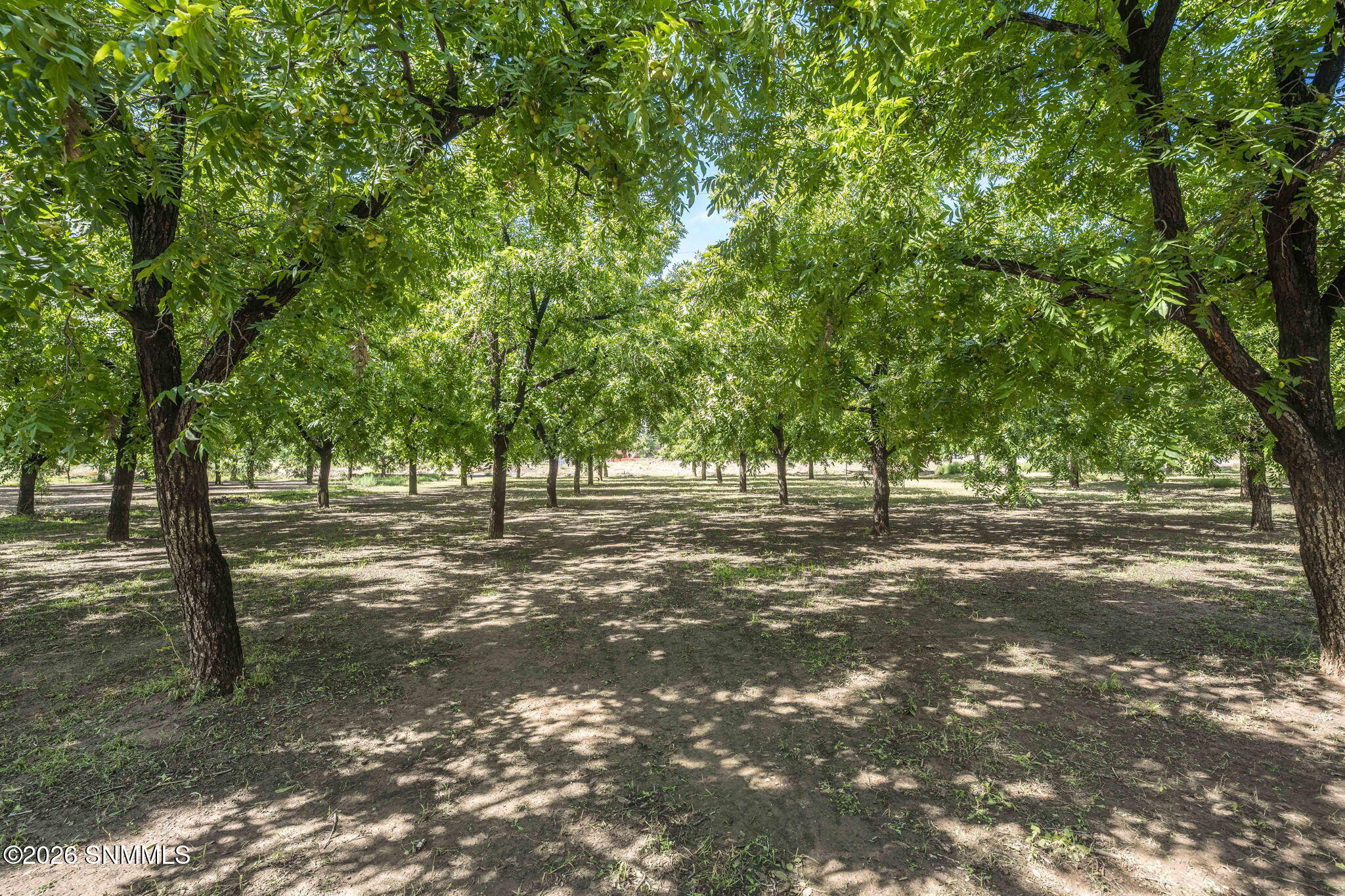 4843 Grider Road Property Photo 6