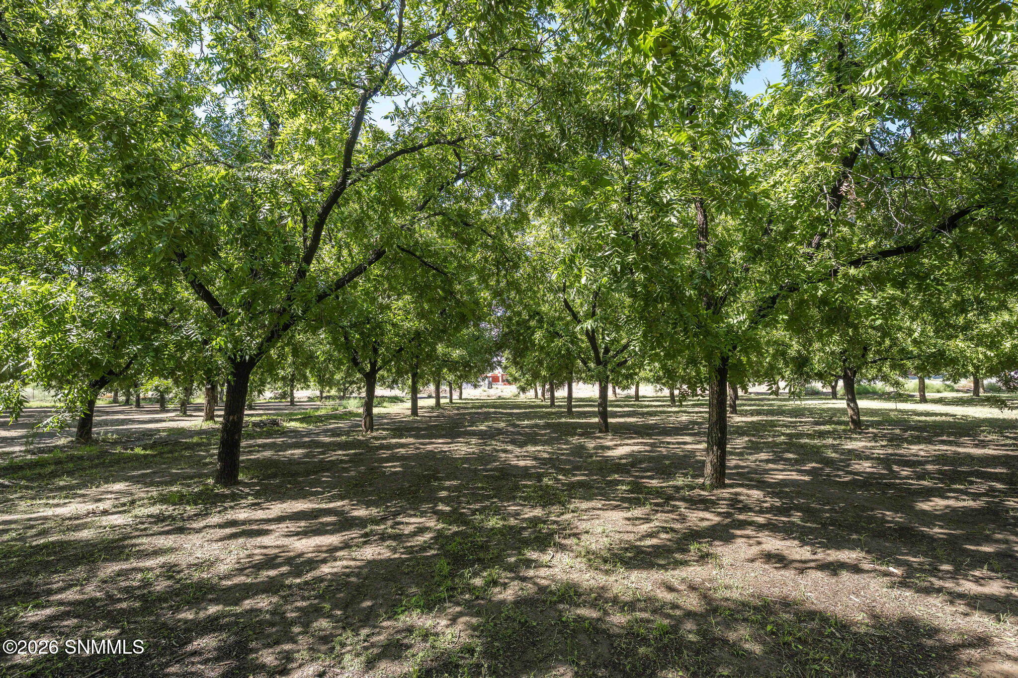 4843 Grider Road Property Photo 68