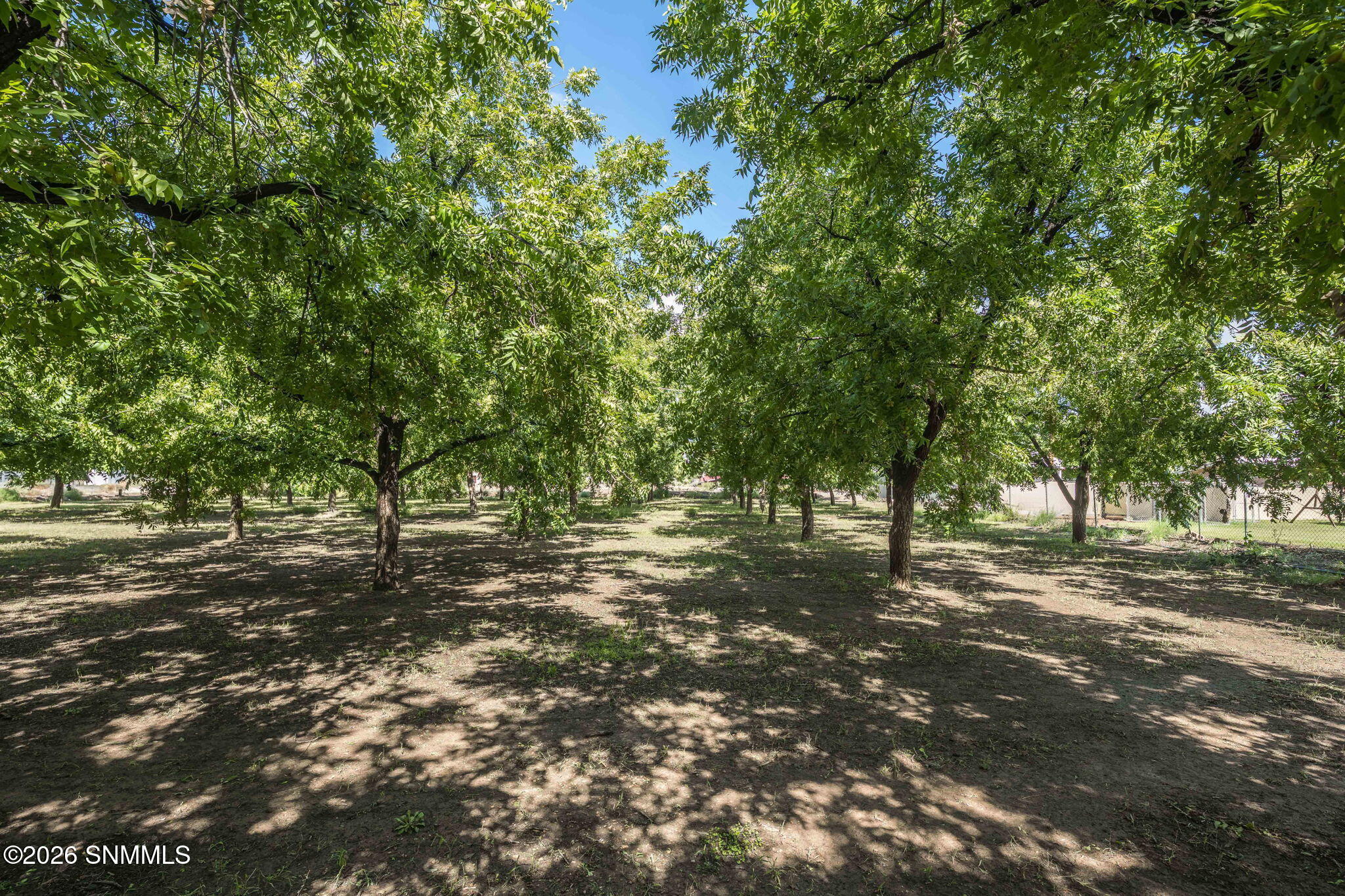 4843 Grider Road Property Photo 69