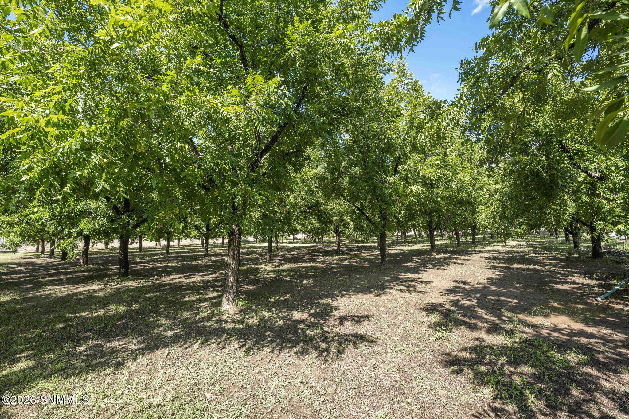 4843 Grider Road Property Photo 70