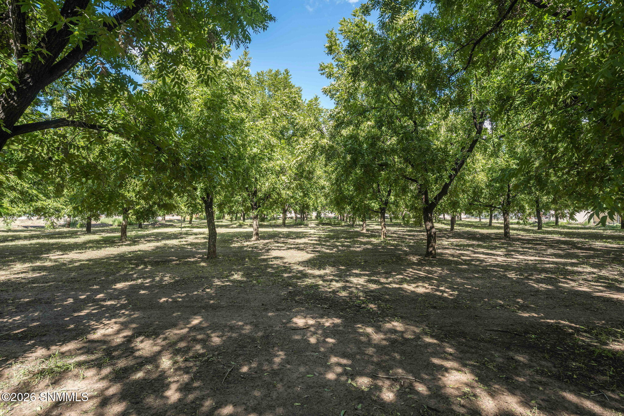 4843 Grider Road Property Photo 71