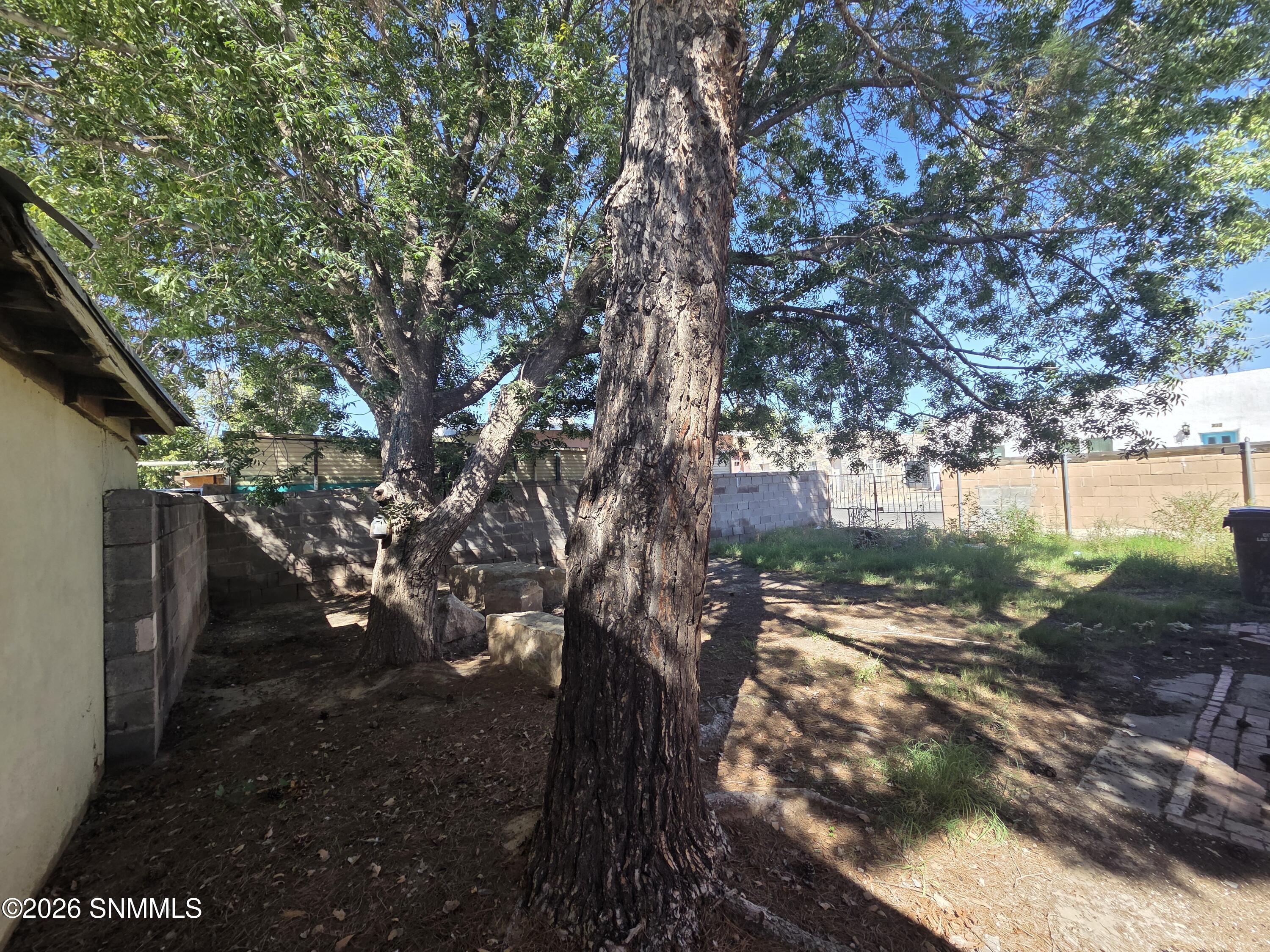 343 E Bowman Avenue Property Photo 15