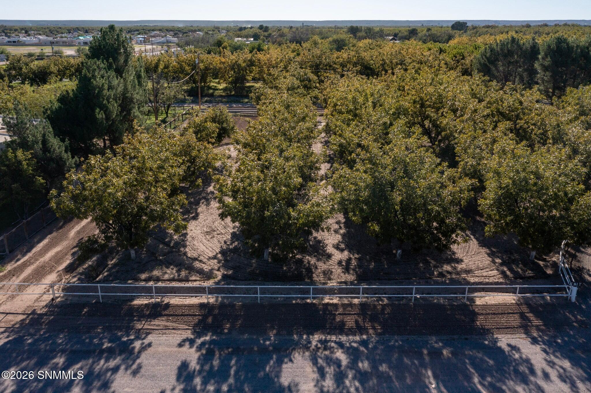 3992 Amistad Drive