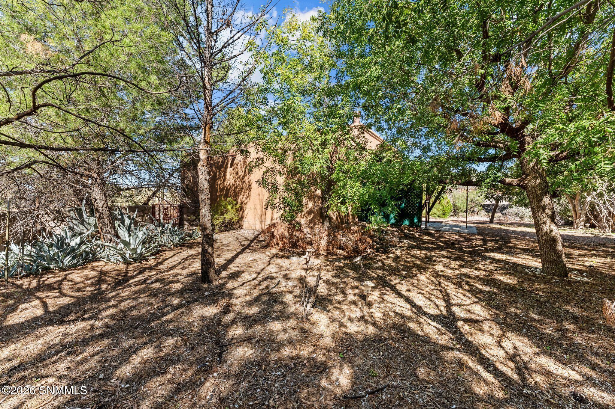 3922 Staghorn Court Property Photo 39