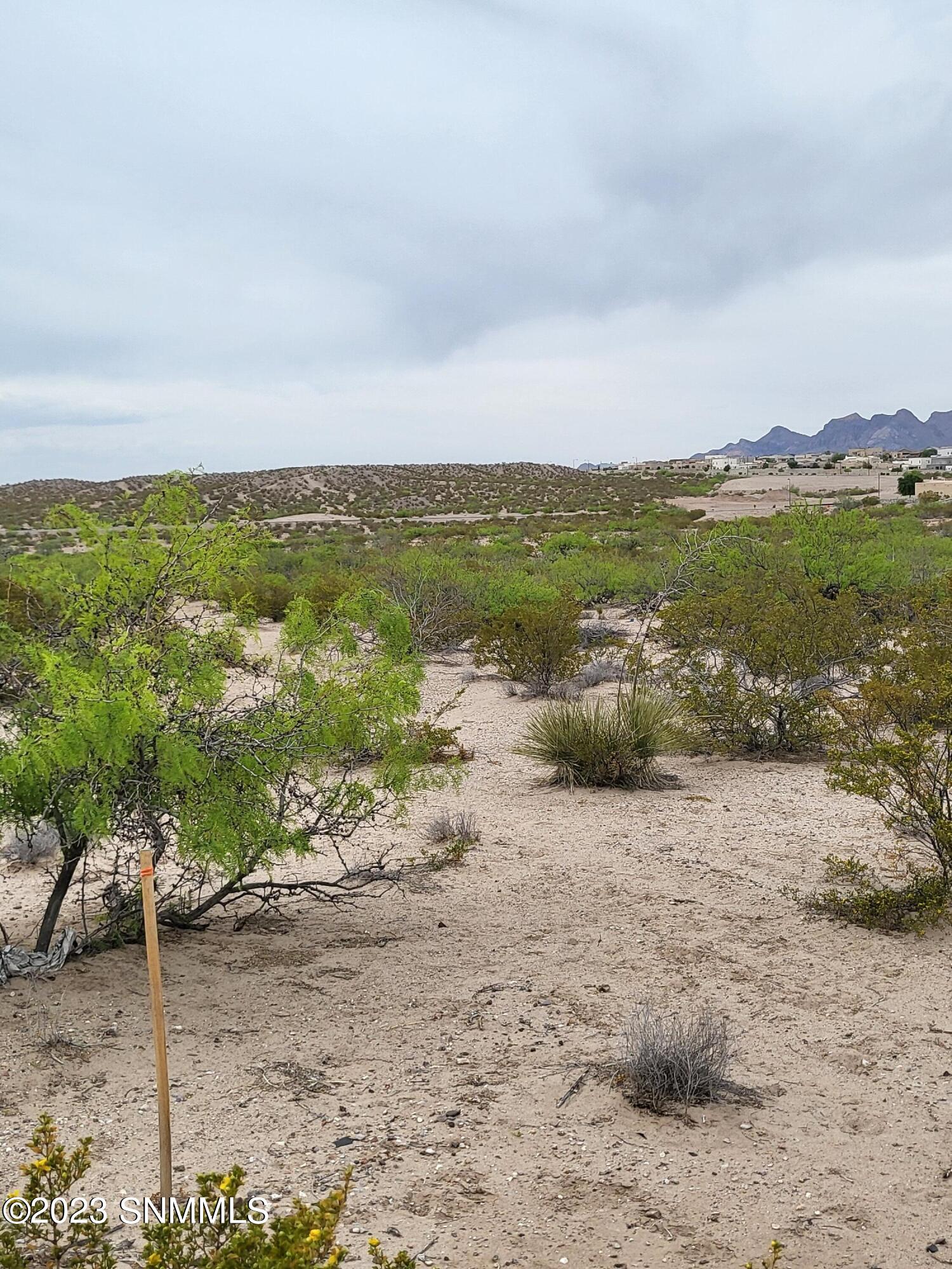 3495 Bataan Memorial West Property Photo 4