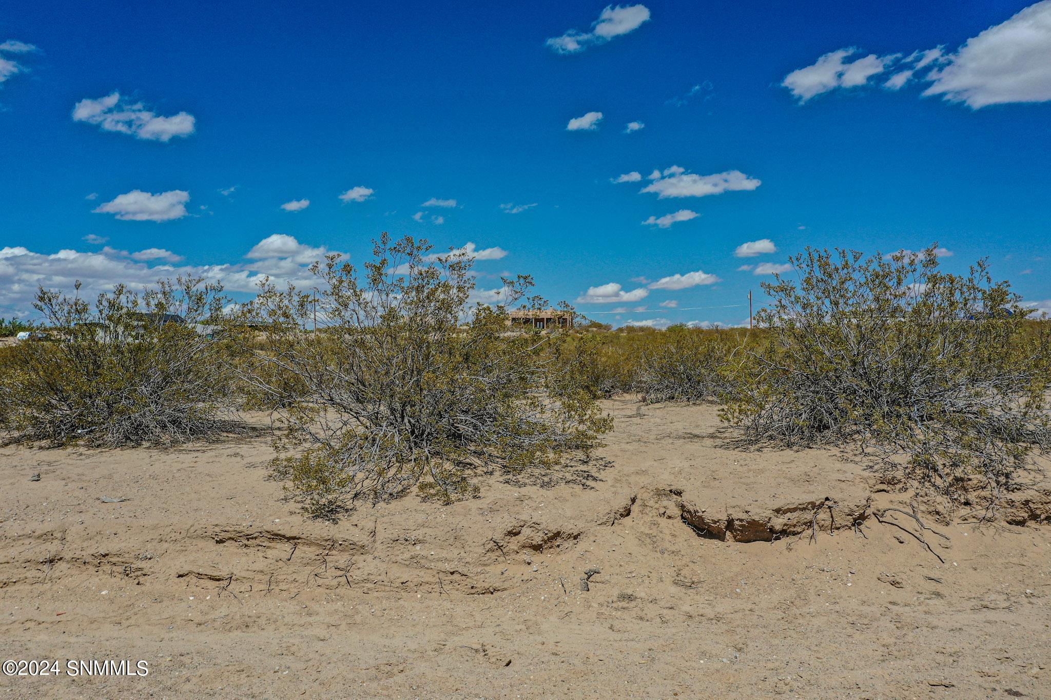 1747 Tucson Avenue Property Photo