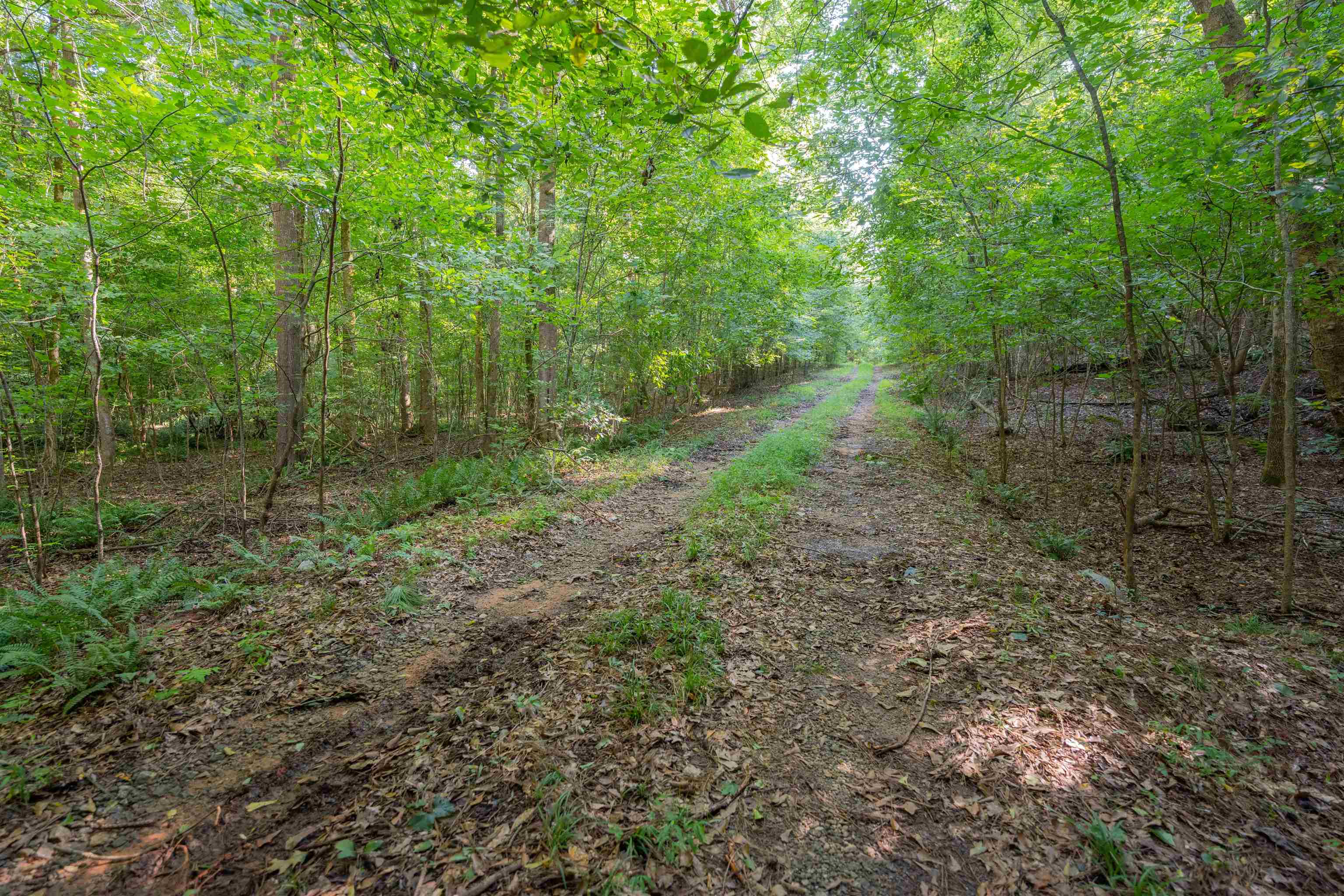 198.62 +/- Ac Apalachee Woods Trail Property Photo 1