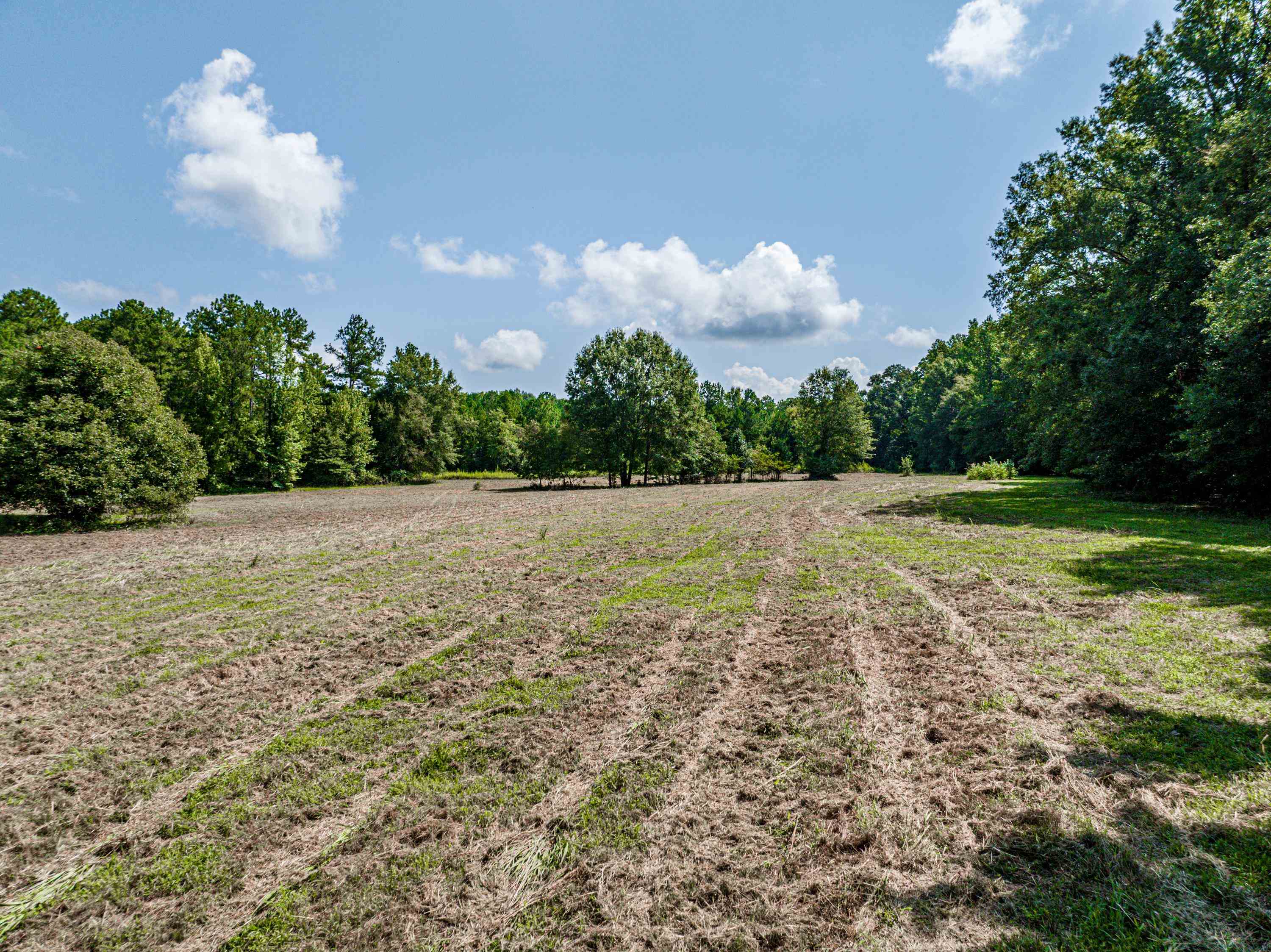 0 Phillips Drive Property Photo 19