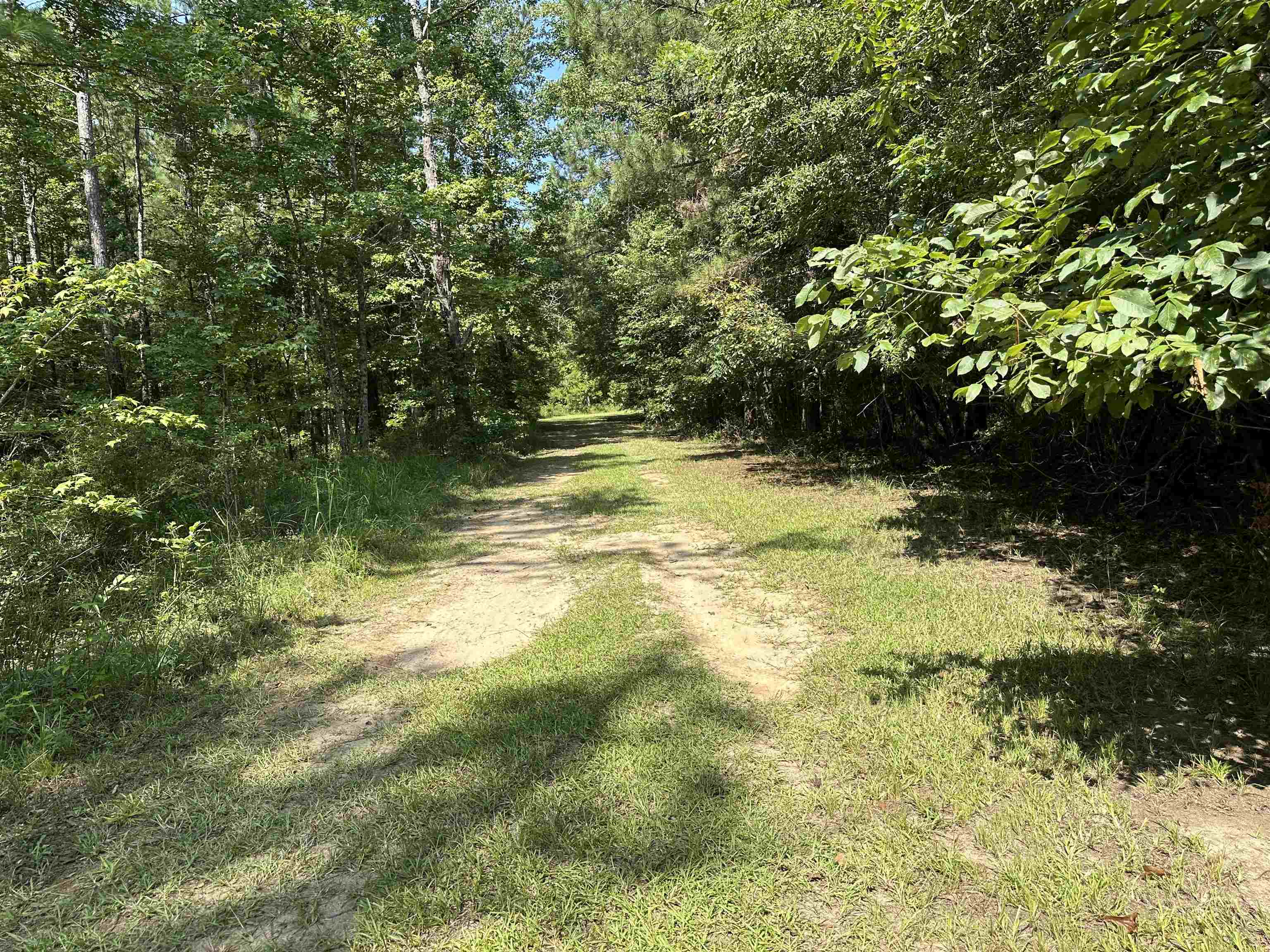 0 Phillips Drive Property Photo 36