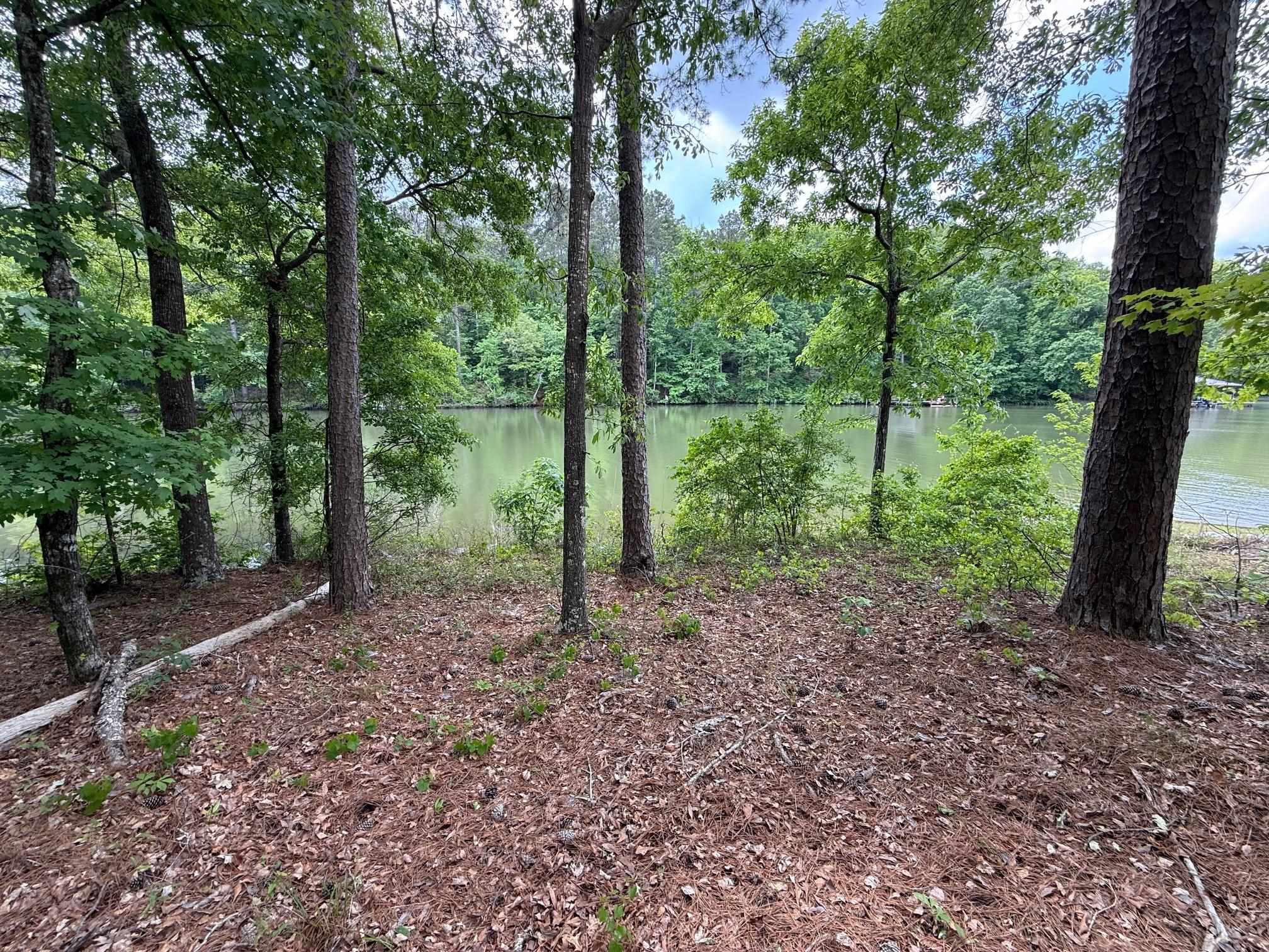 0 Hickory Pass # 221 Property Photo 3
