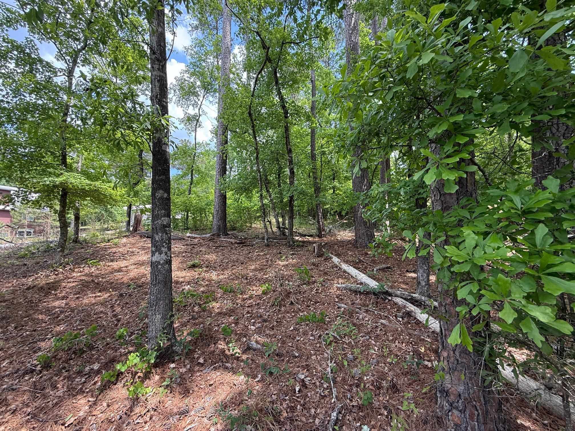 0 Hickory Pass # 221 Property Photo 5