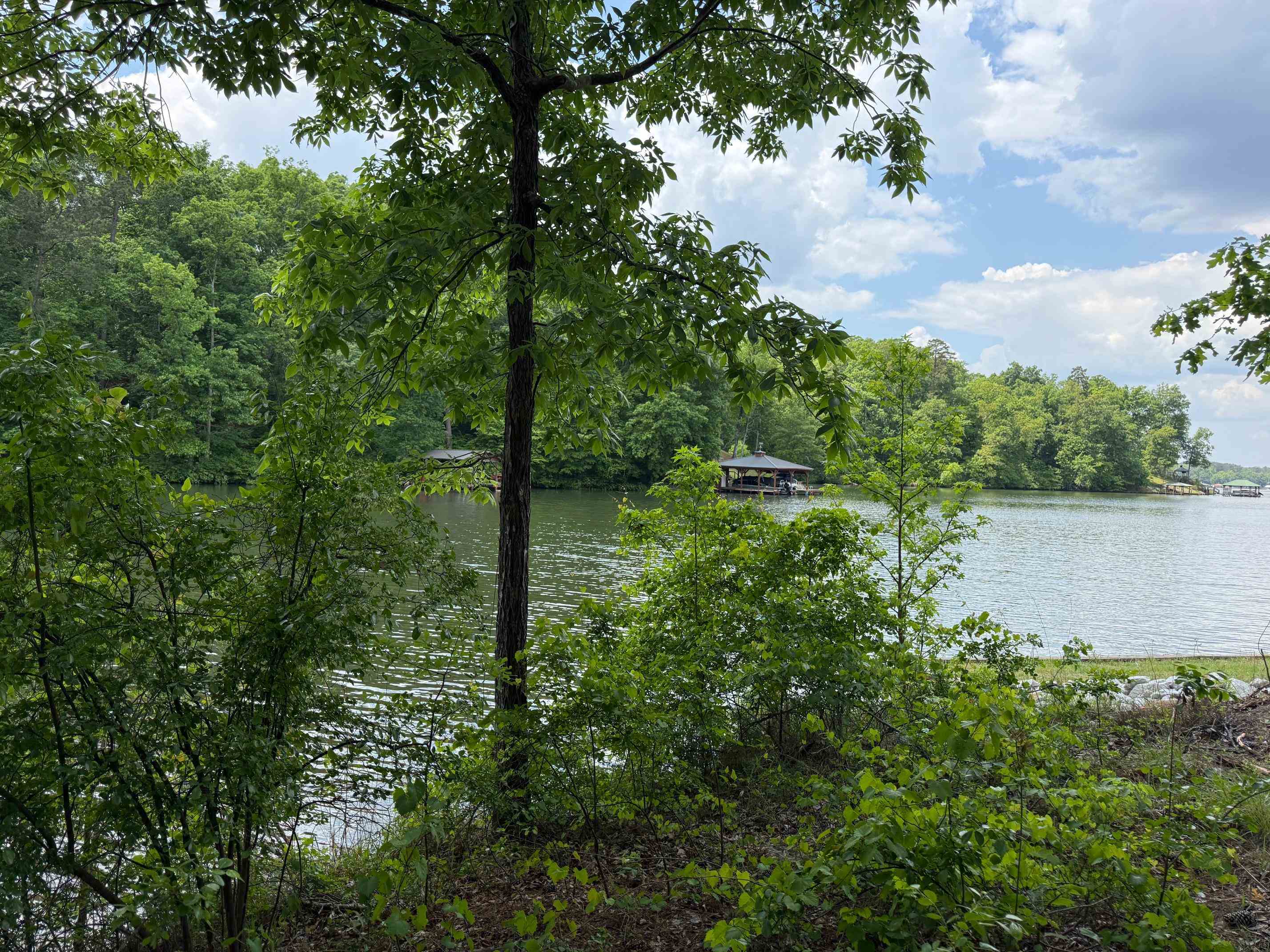 0 Hickory Pass # 221 Property Photo 6