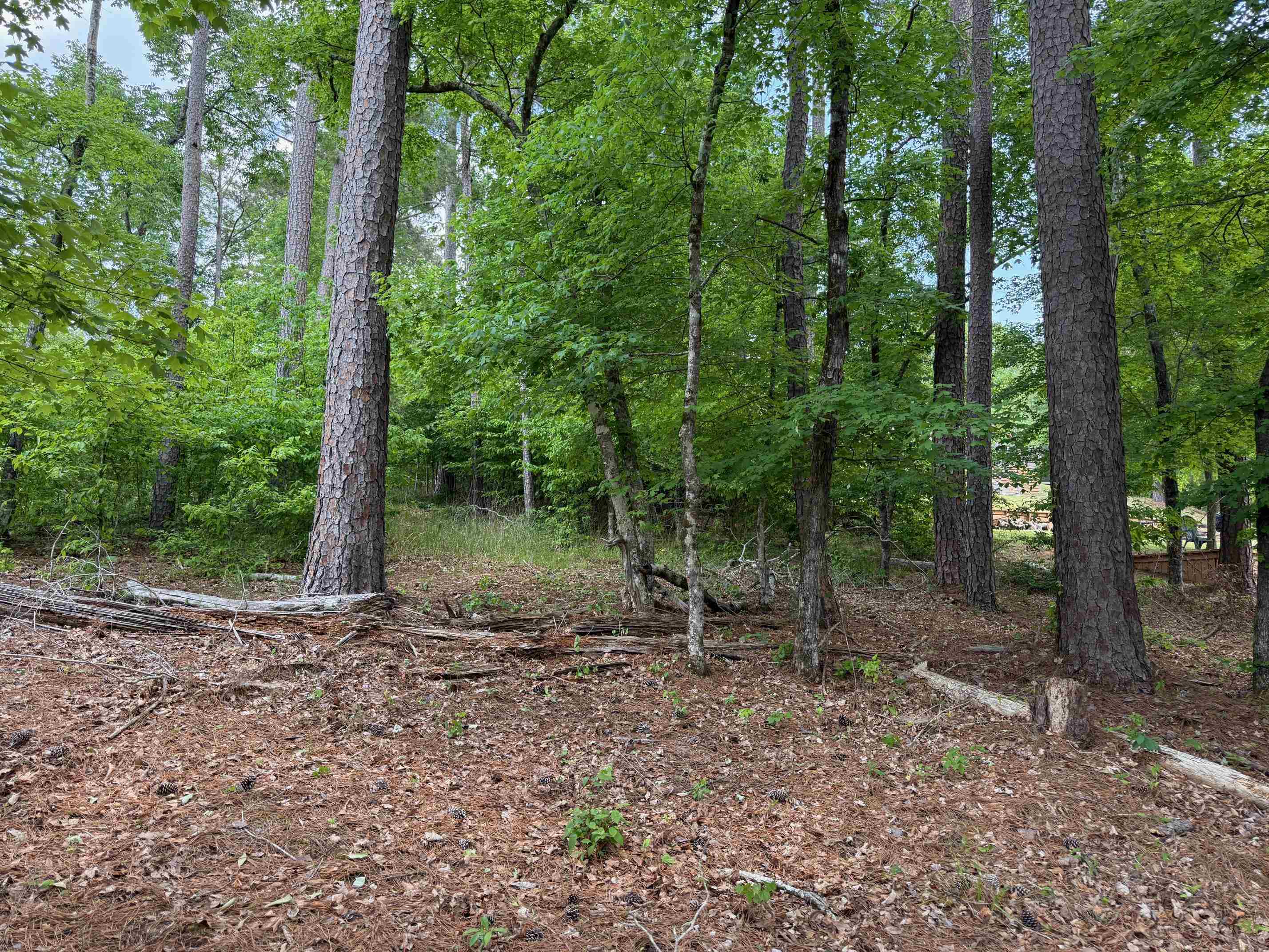 0 Hickory Pass # 221 Property Photo 7