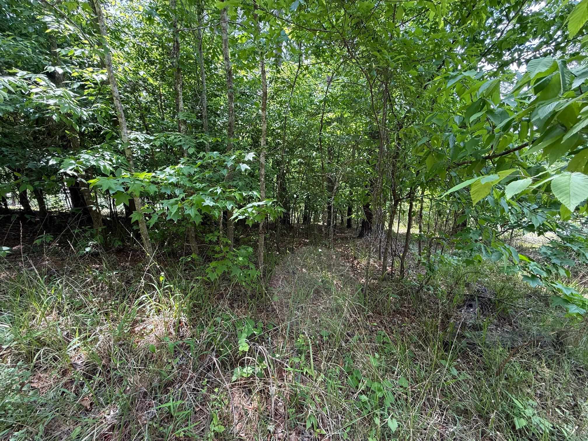0 Hickory Pass # 221 Property Photo 8