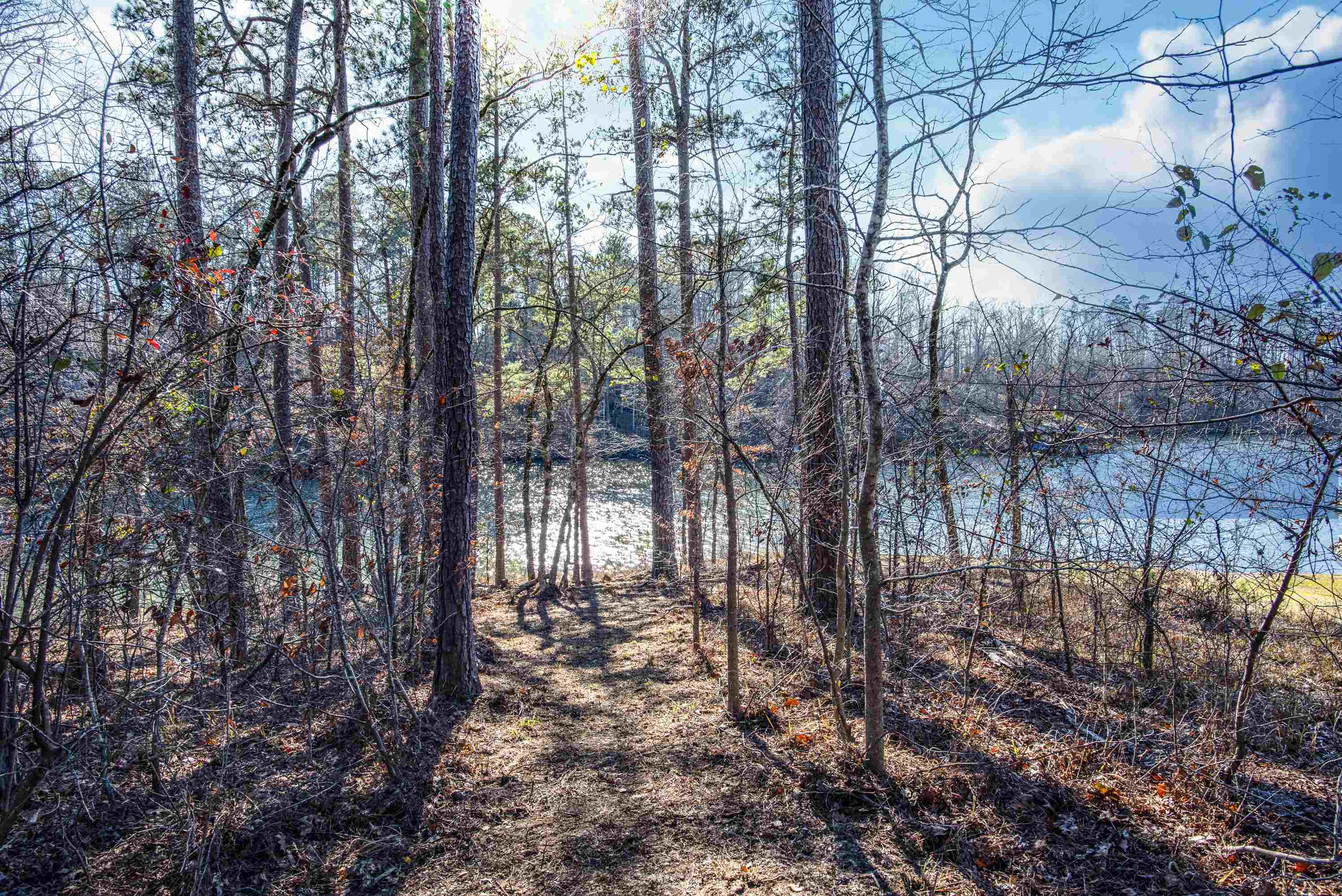 0 Hickory Pass # 221 Property Photo 9