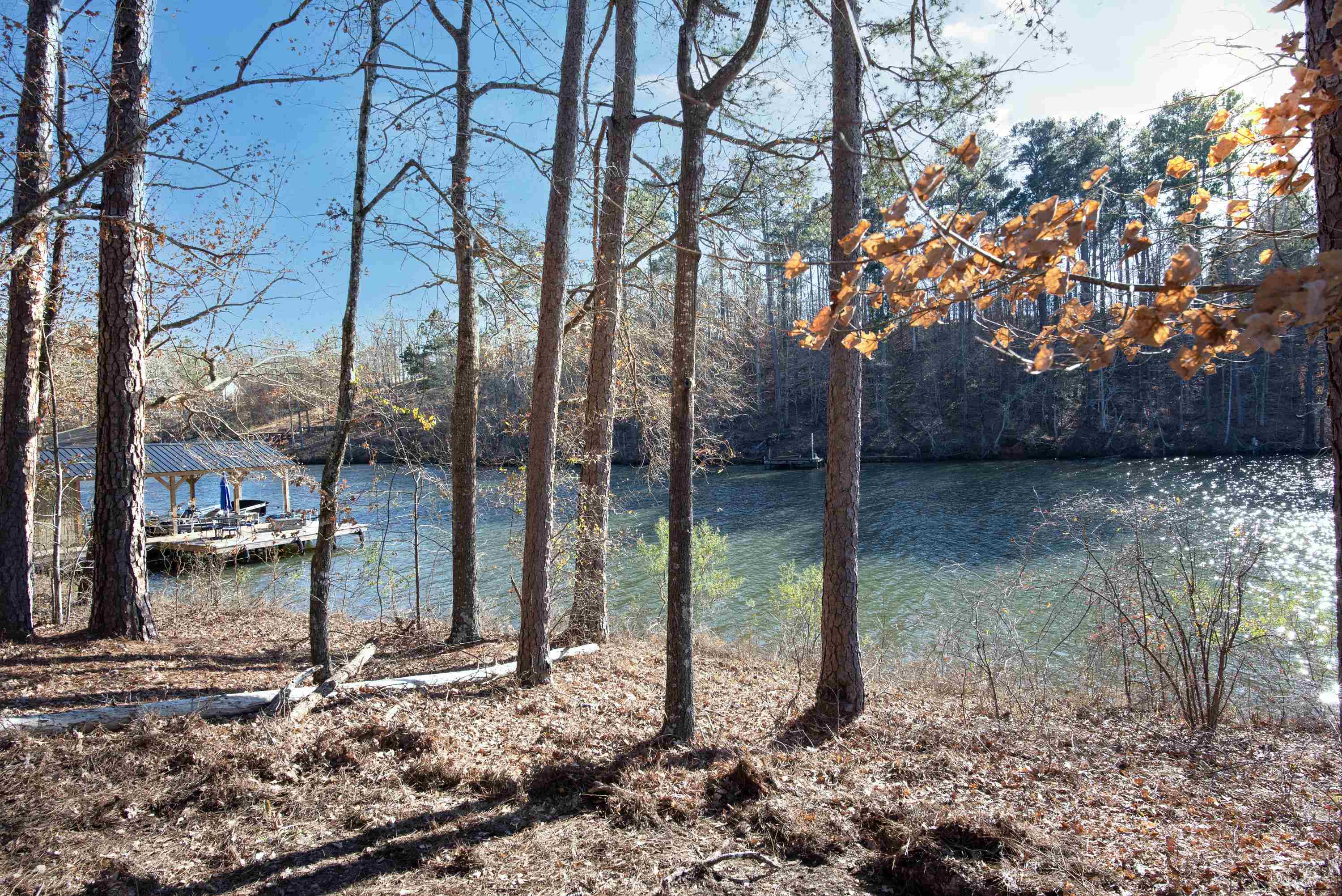 0 Hickory Pass # 221 Property Photo 11