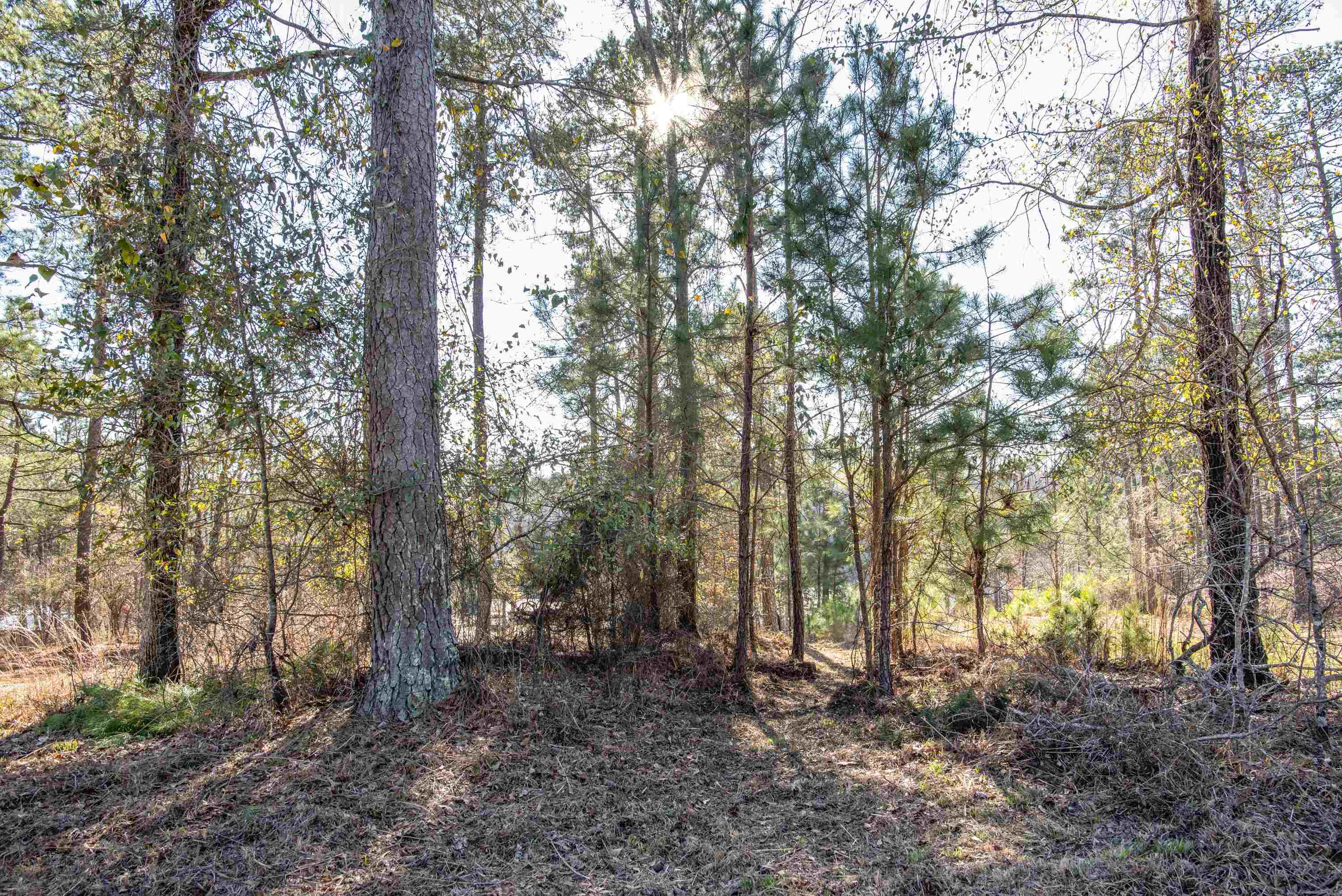 0 Hickory Pass # 221 Property Photo 32