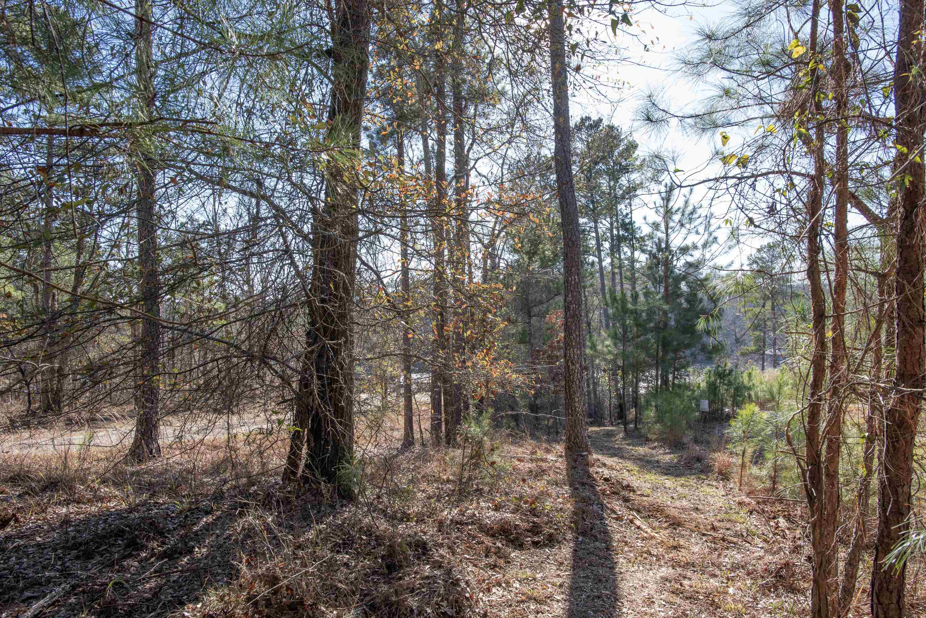 0 Hickory Pass # 221 Property Photo 33