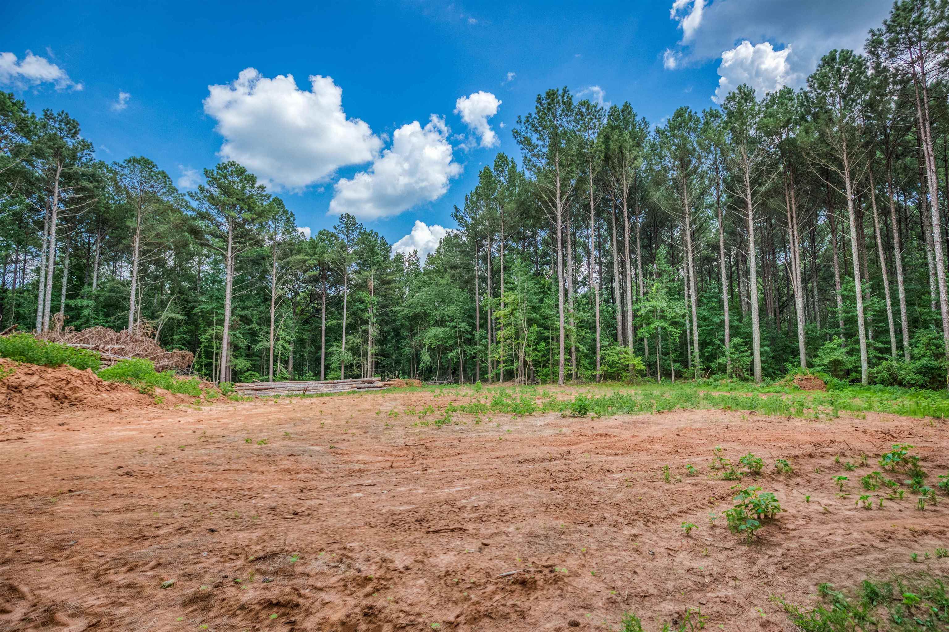 Lot 3 Mallory Road Property Photo 15