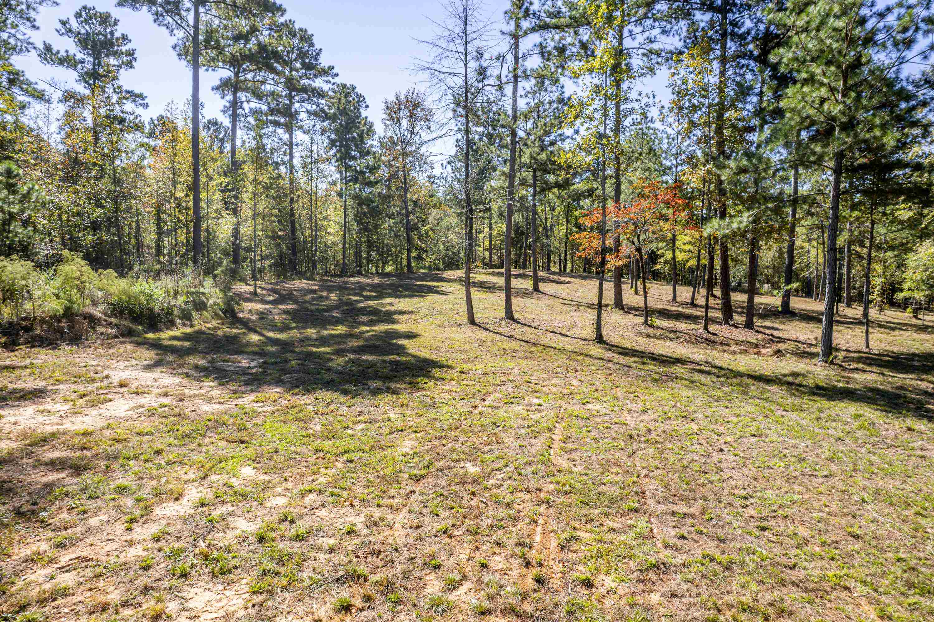 1081 Eagle Way Drive # 2 Property Photo 10