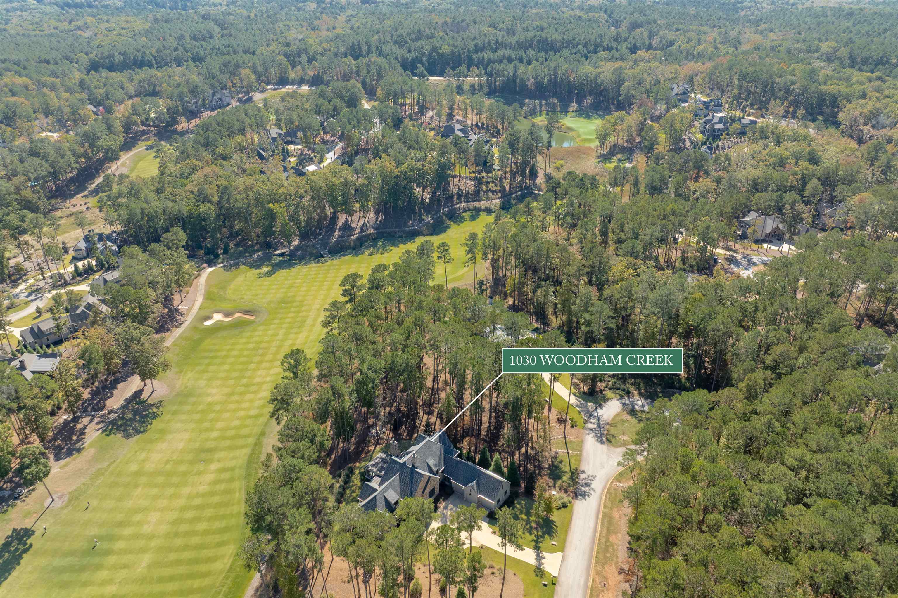 1030 Woodham Creek Property Photo 49