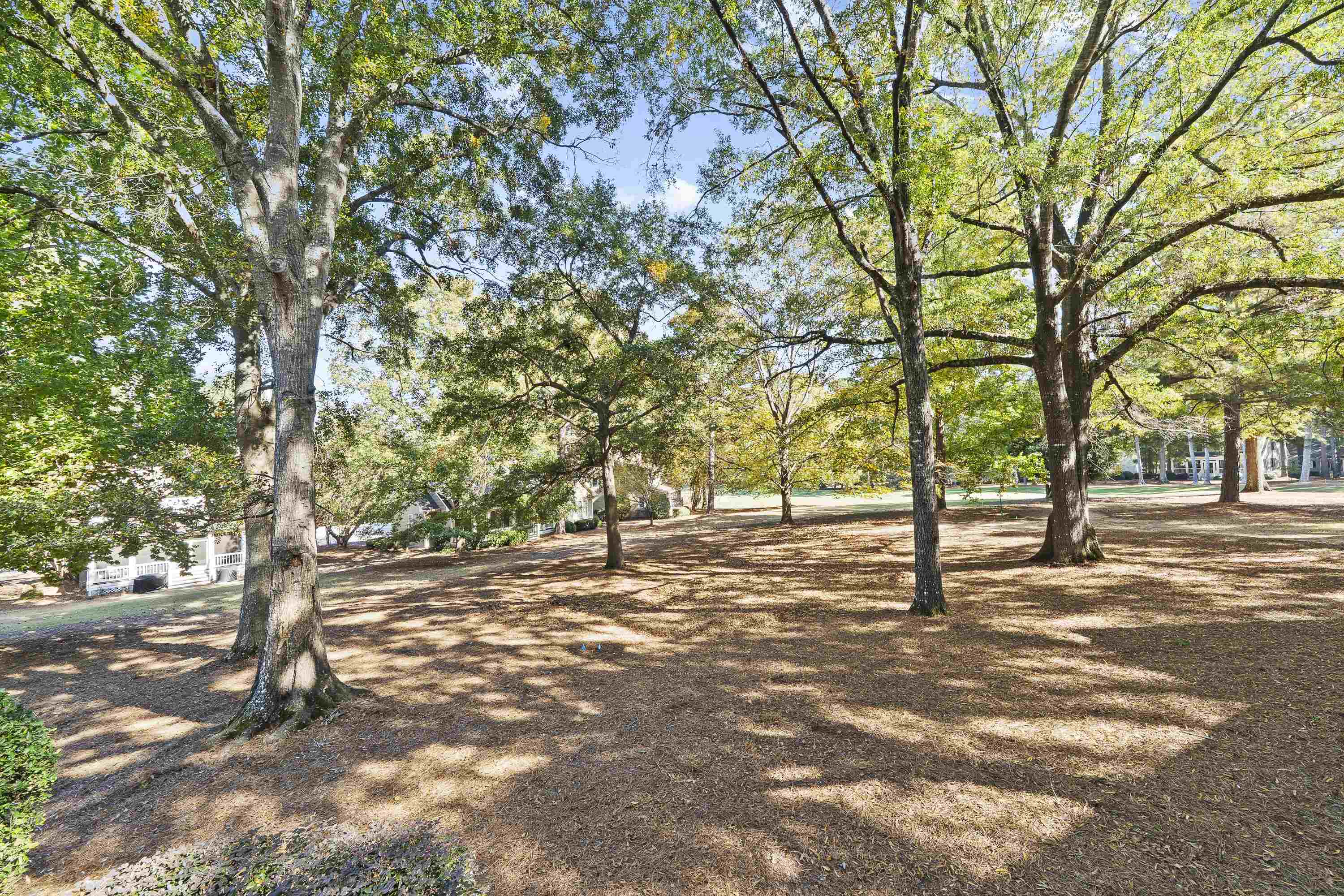 131 Oakton South Property Photo 42