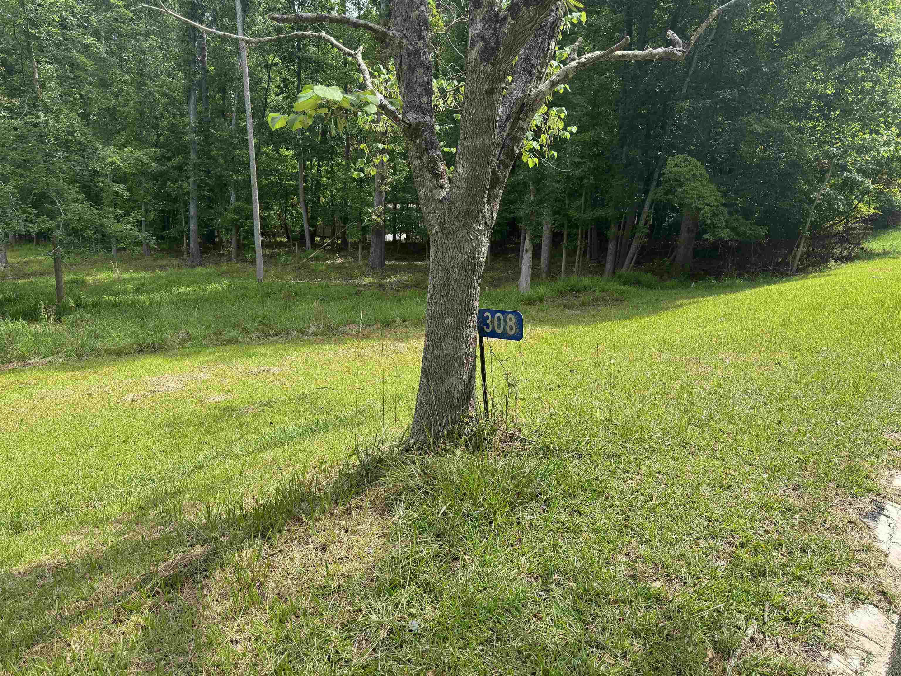 308 River Lake Drive # 0 Property Photo 6