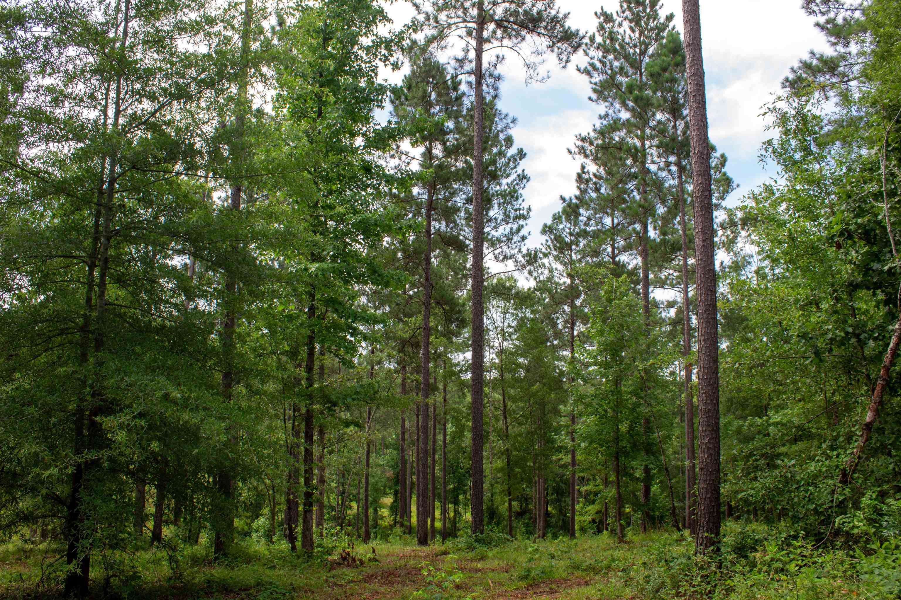 139 OVERLOOK DRIVE # 12
