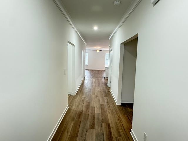 1501 Lake Drive Property Photo 4
