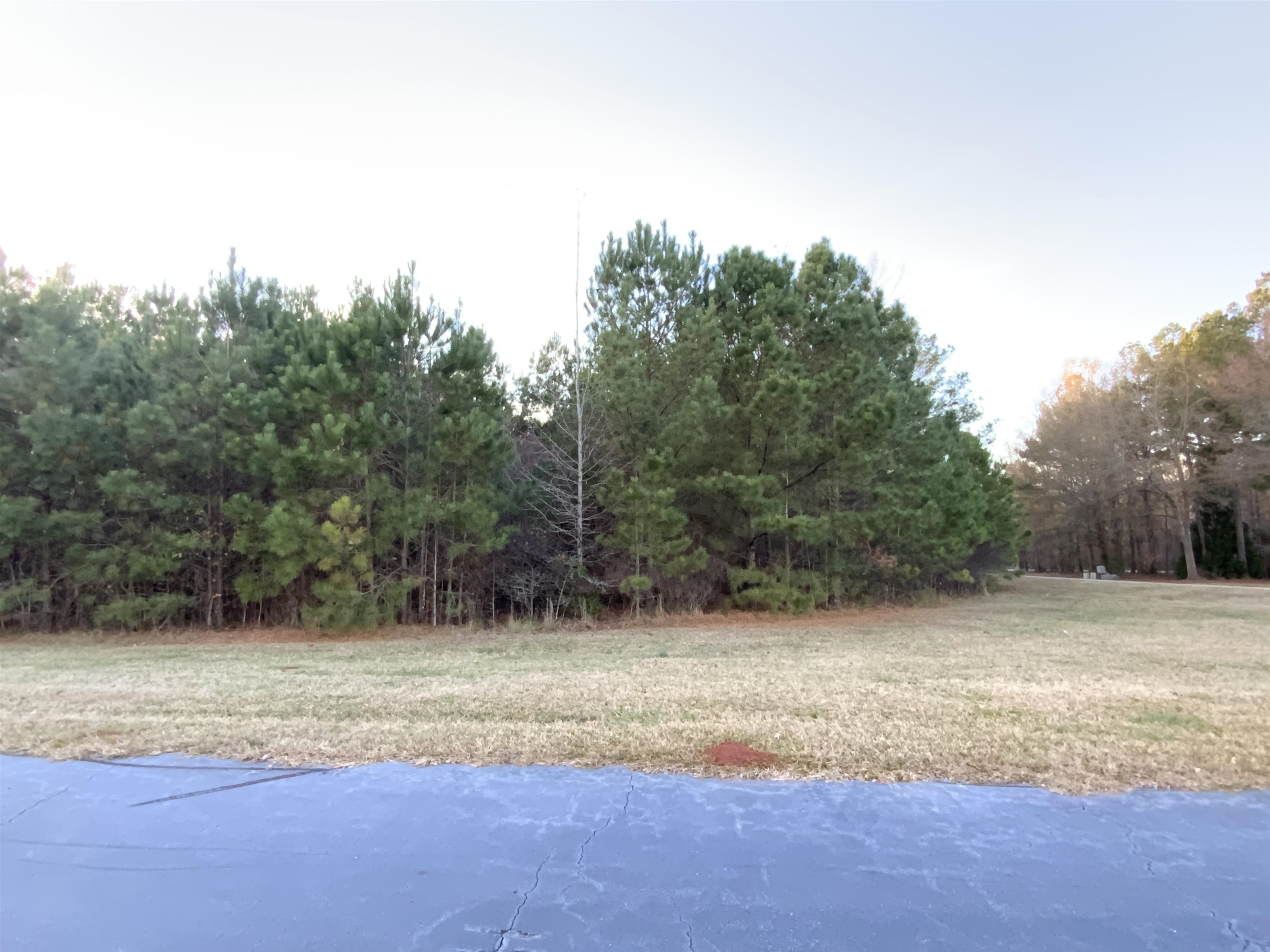 100 Pine Bloom Way # 71 Property Photo 2